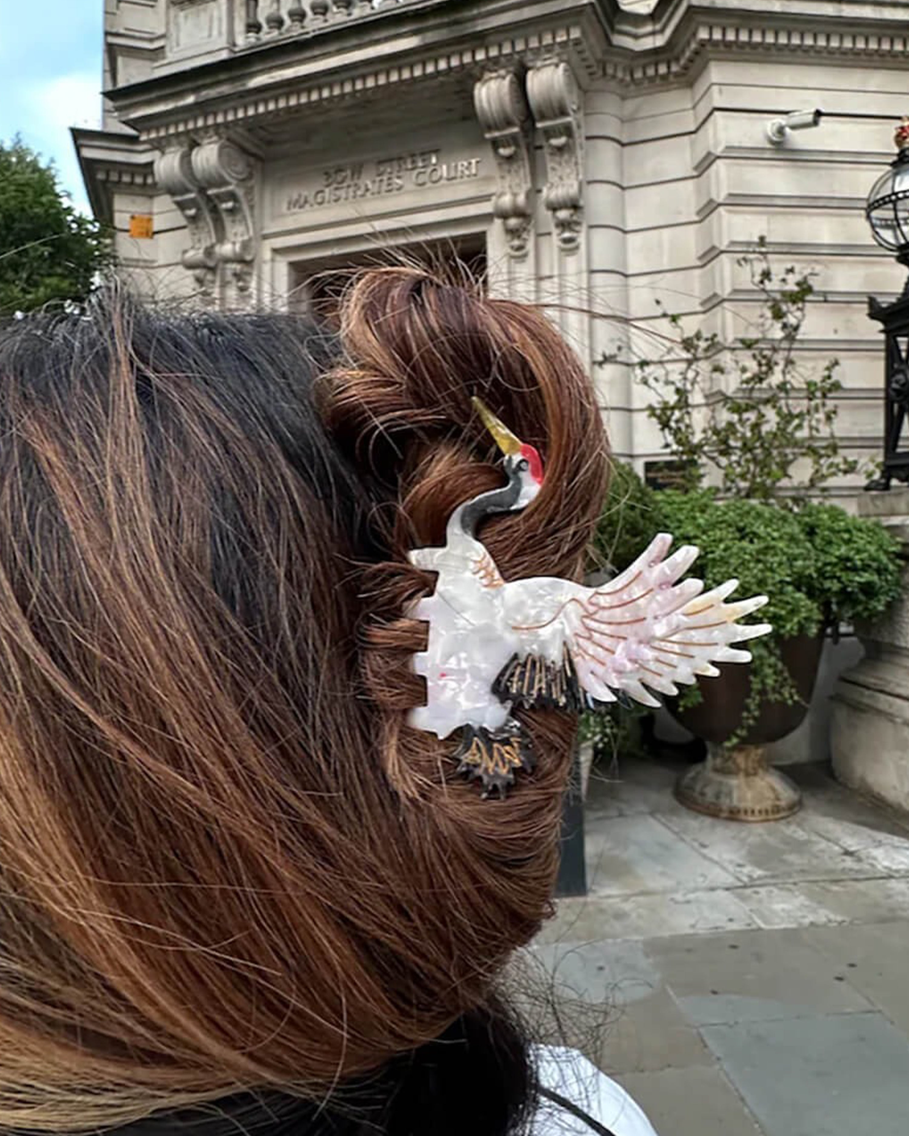 Hand-painted Crane Bird Claw Hair Clip Eco-Friendly