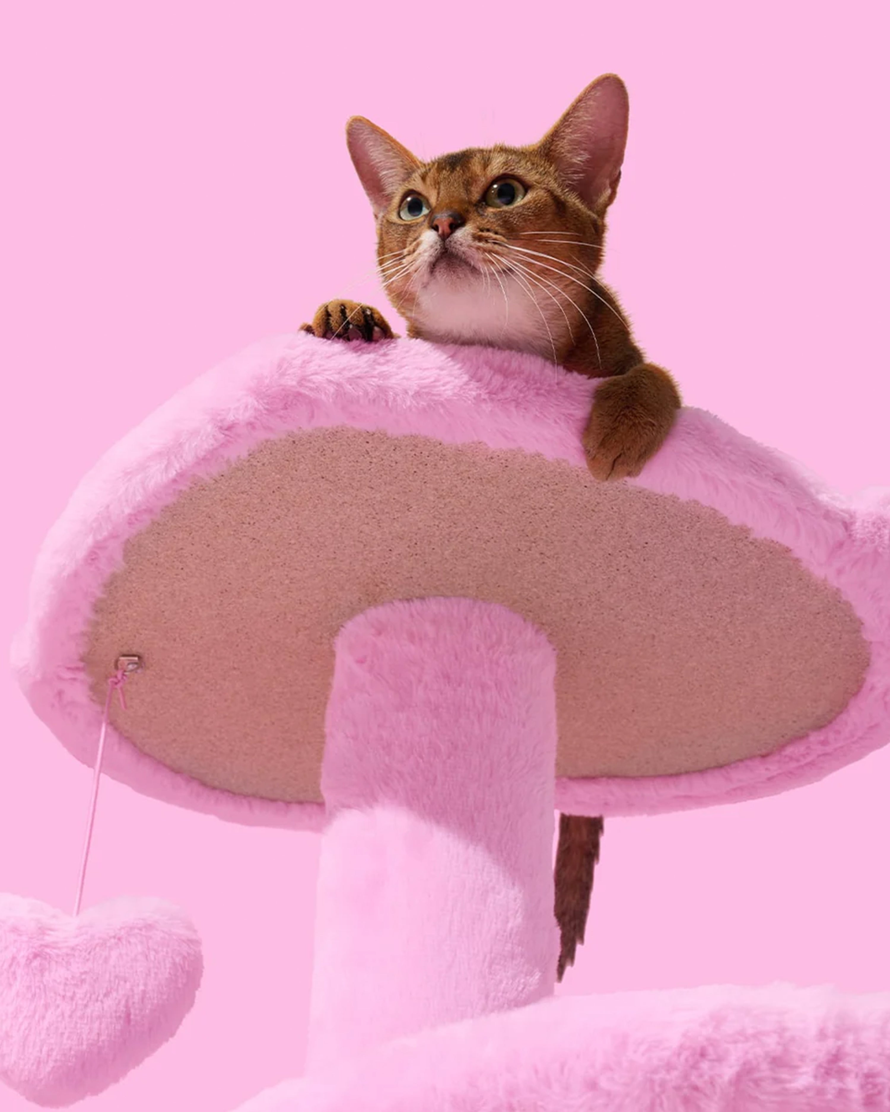 Heartpurrink Cat Climber