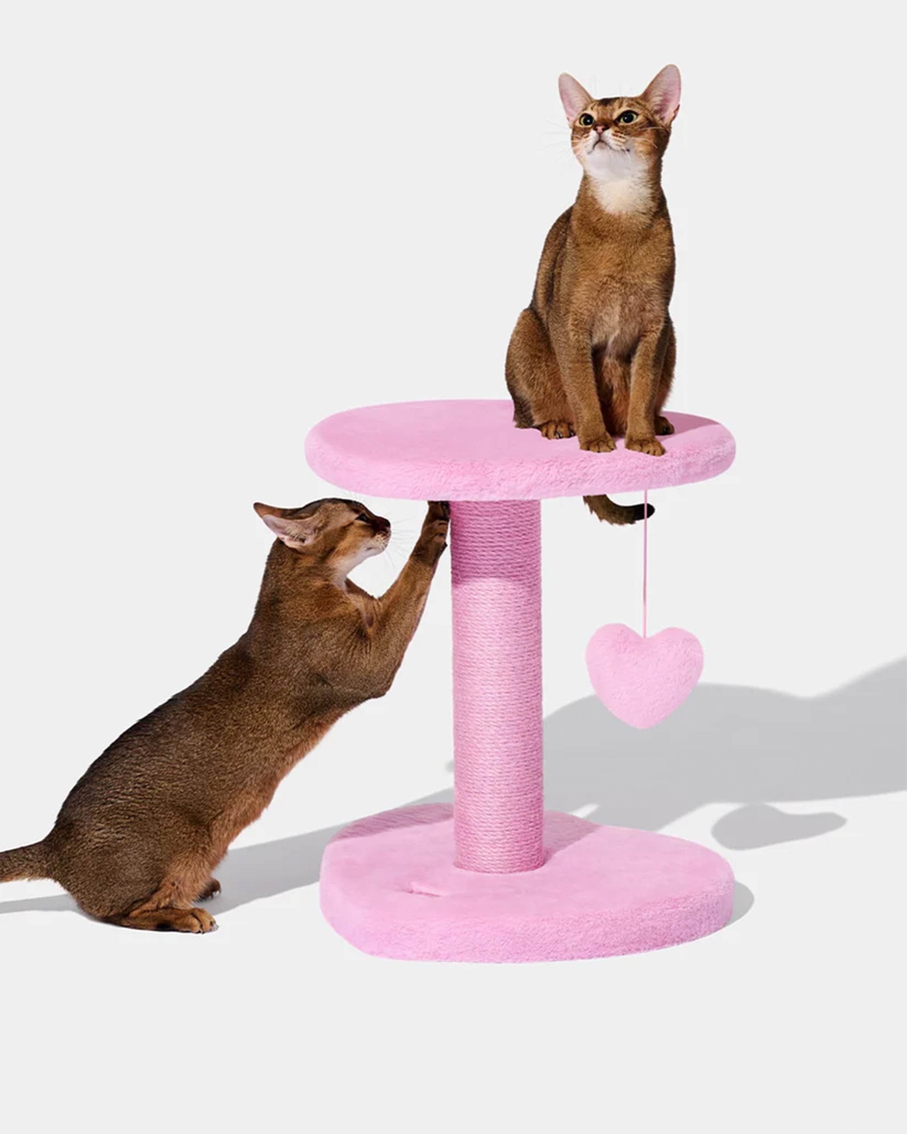 Heartpurrink Cat Climber Two Platforms