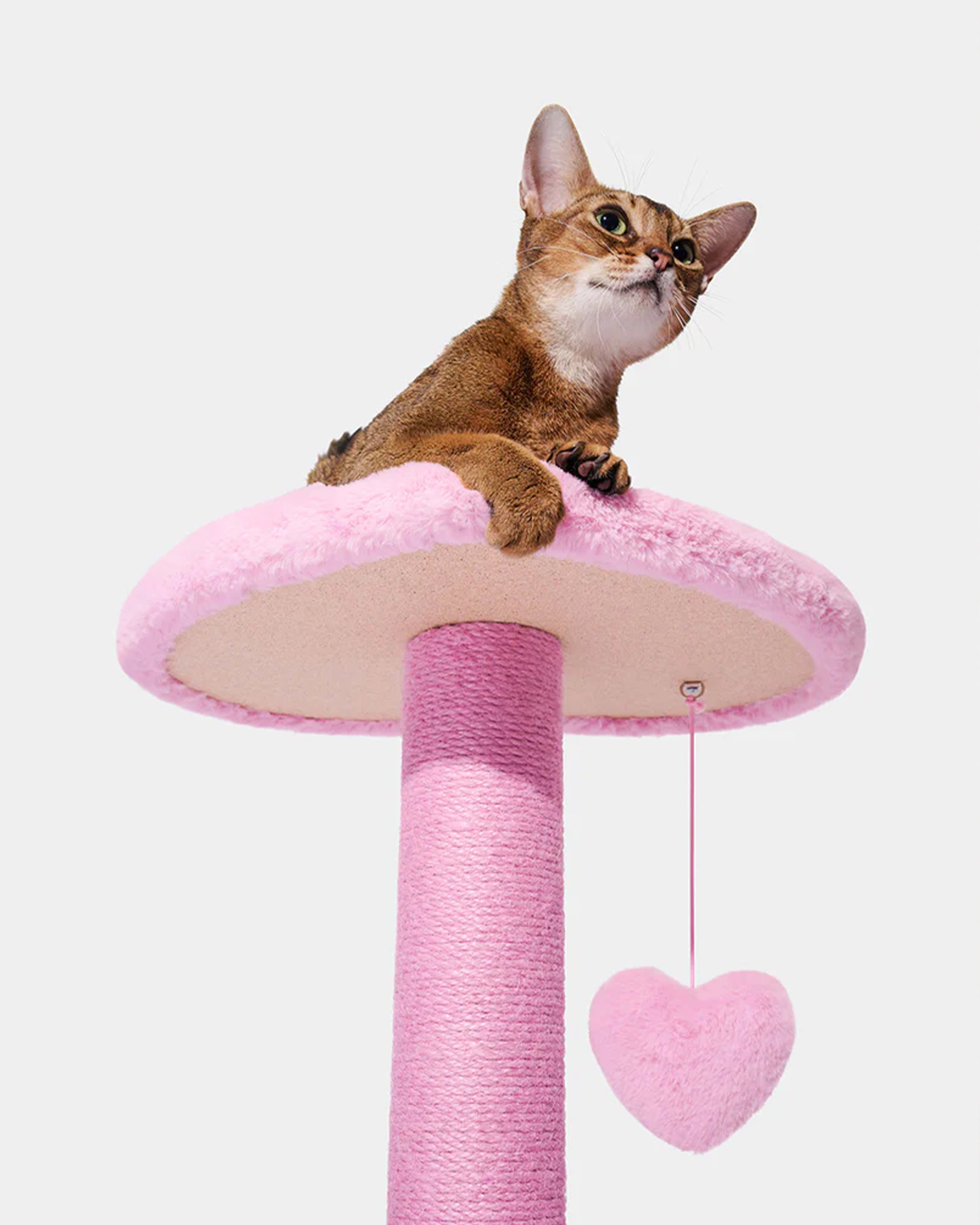 Heartpurrink Cat Climber Two Platforms