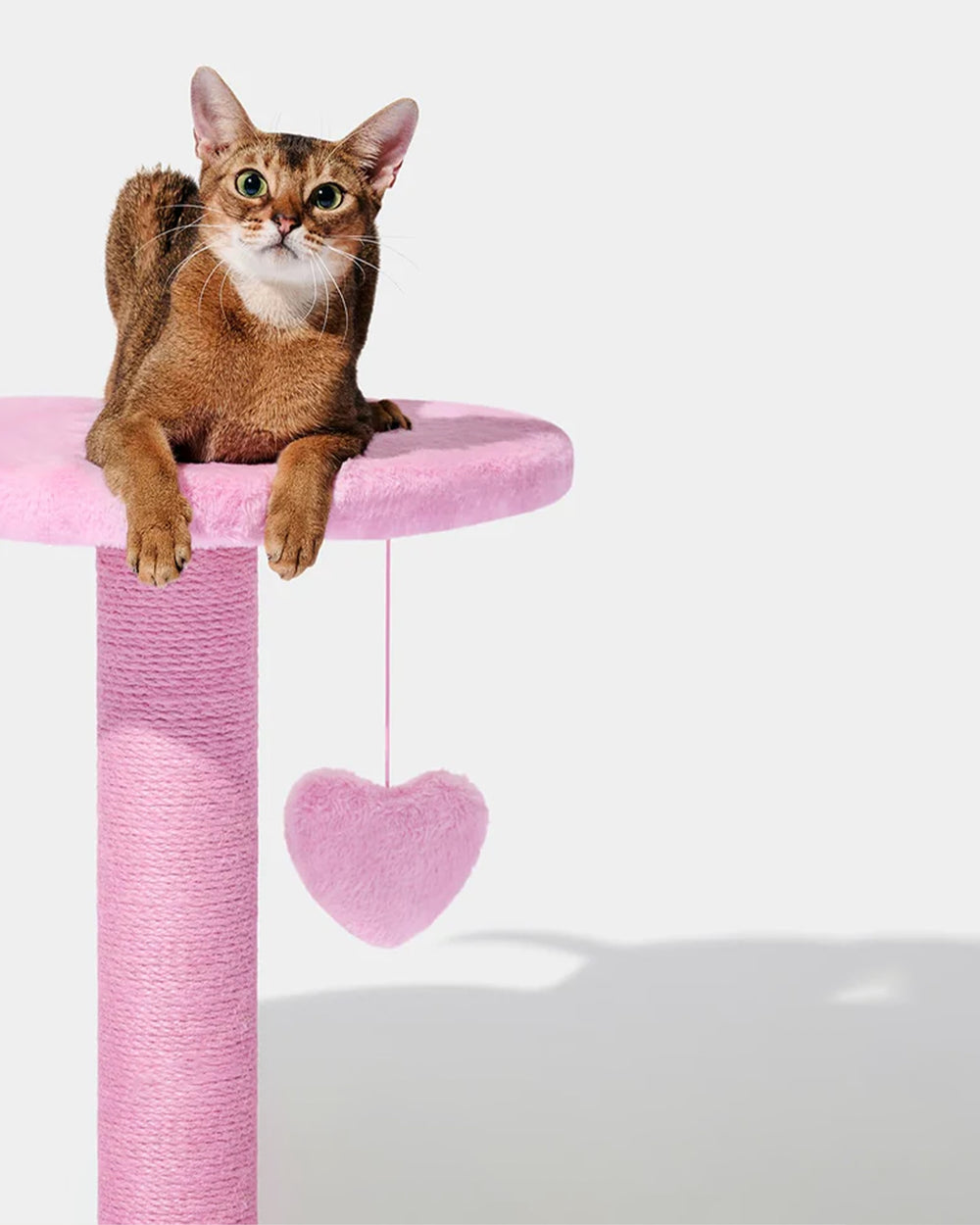 Heartpurrink Cat Climber Two Platforms