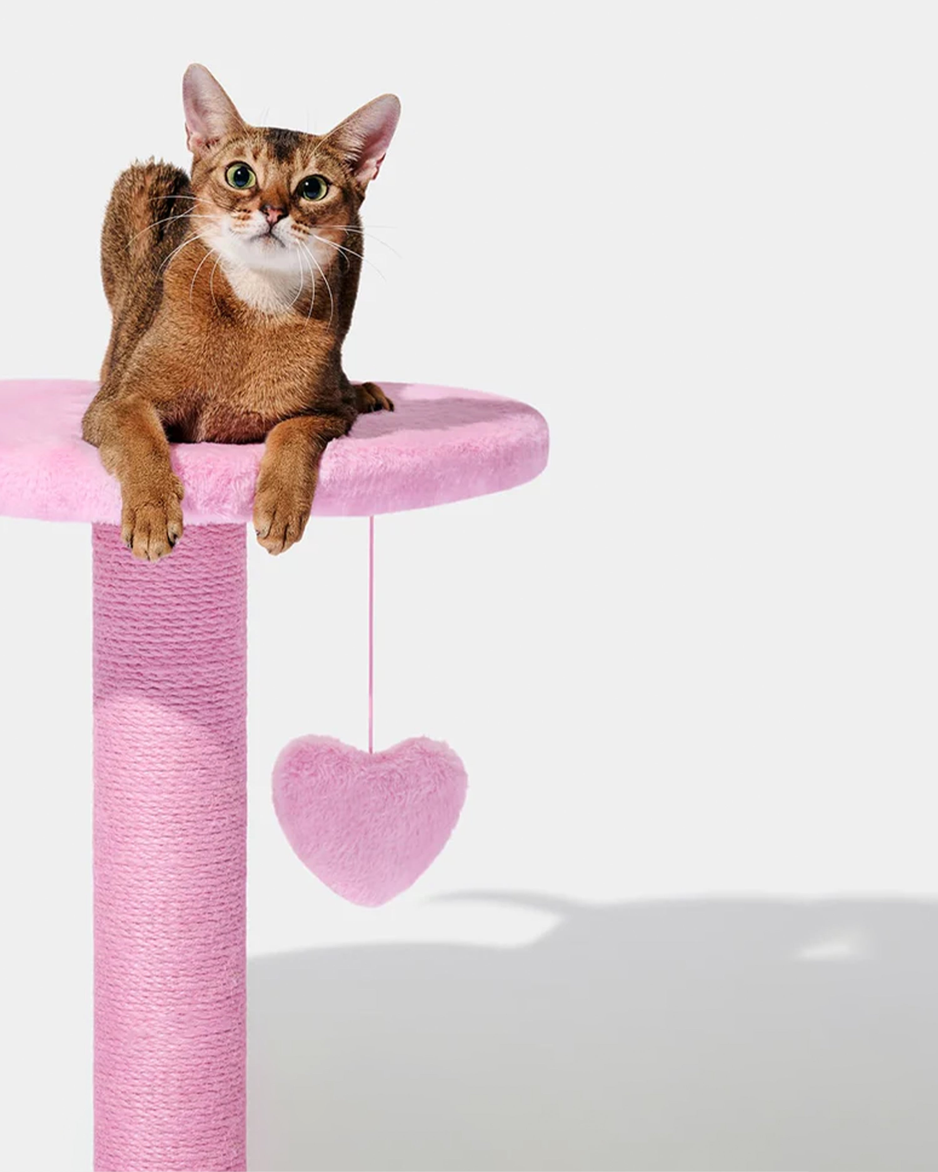 Heartpurrink Cat Climber Two Platforms