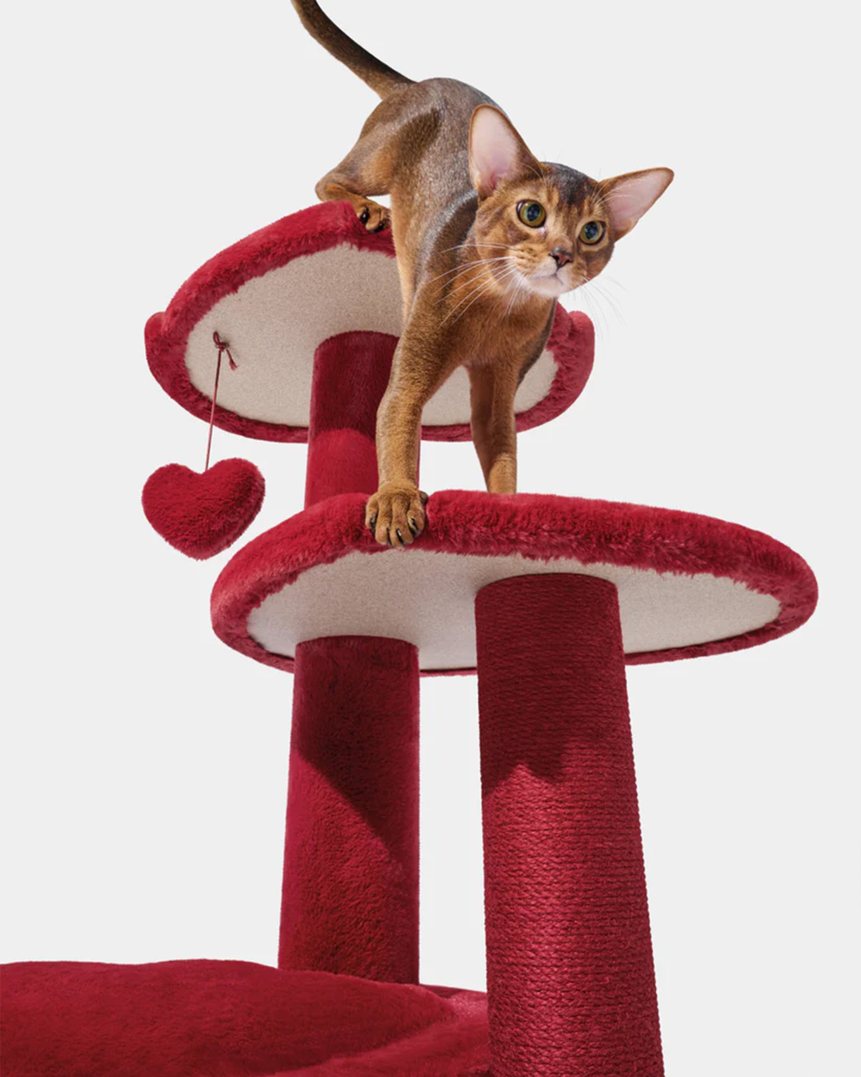 Heartpurrouge Cat Climber Four Platforms