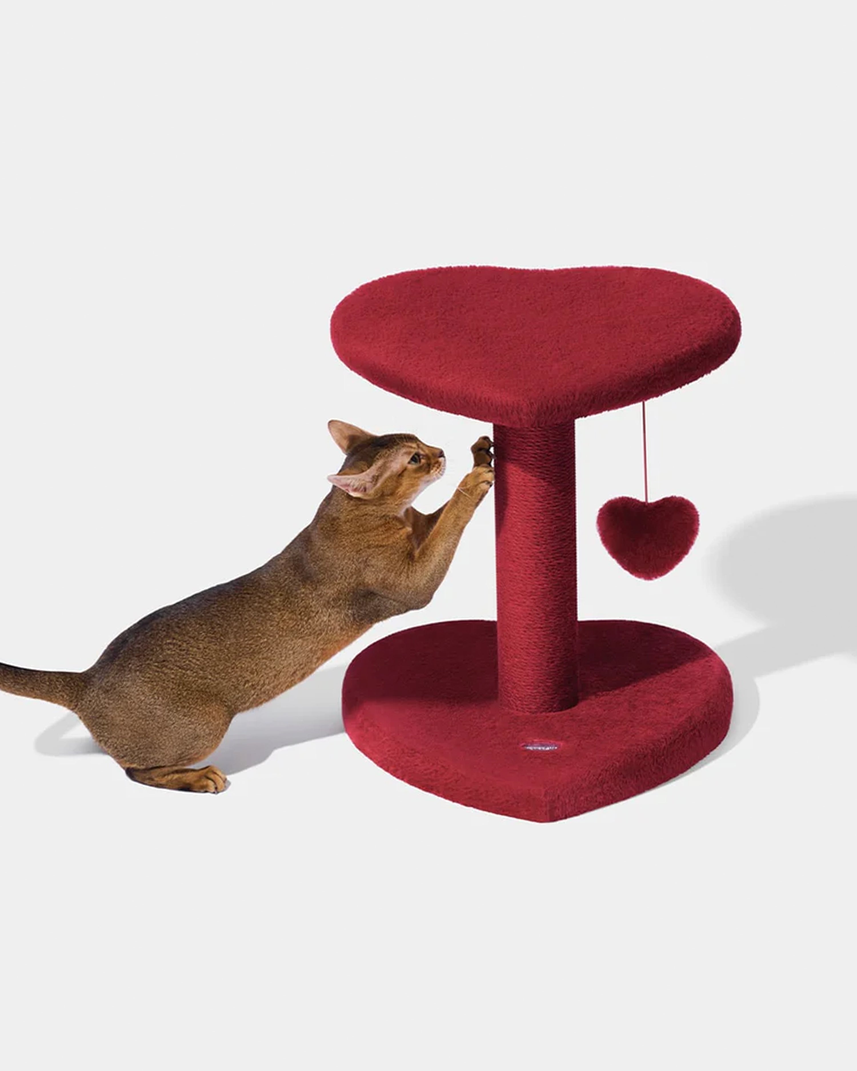 Heartpurrouge Cat Climber Two Platforms