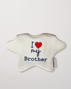 'I love my Brother' Baby Bib