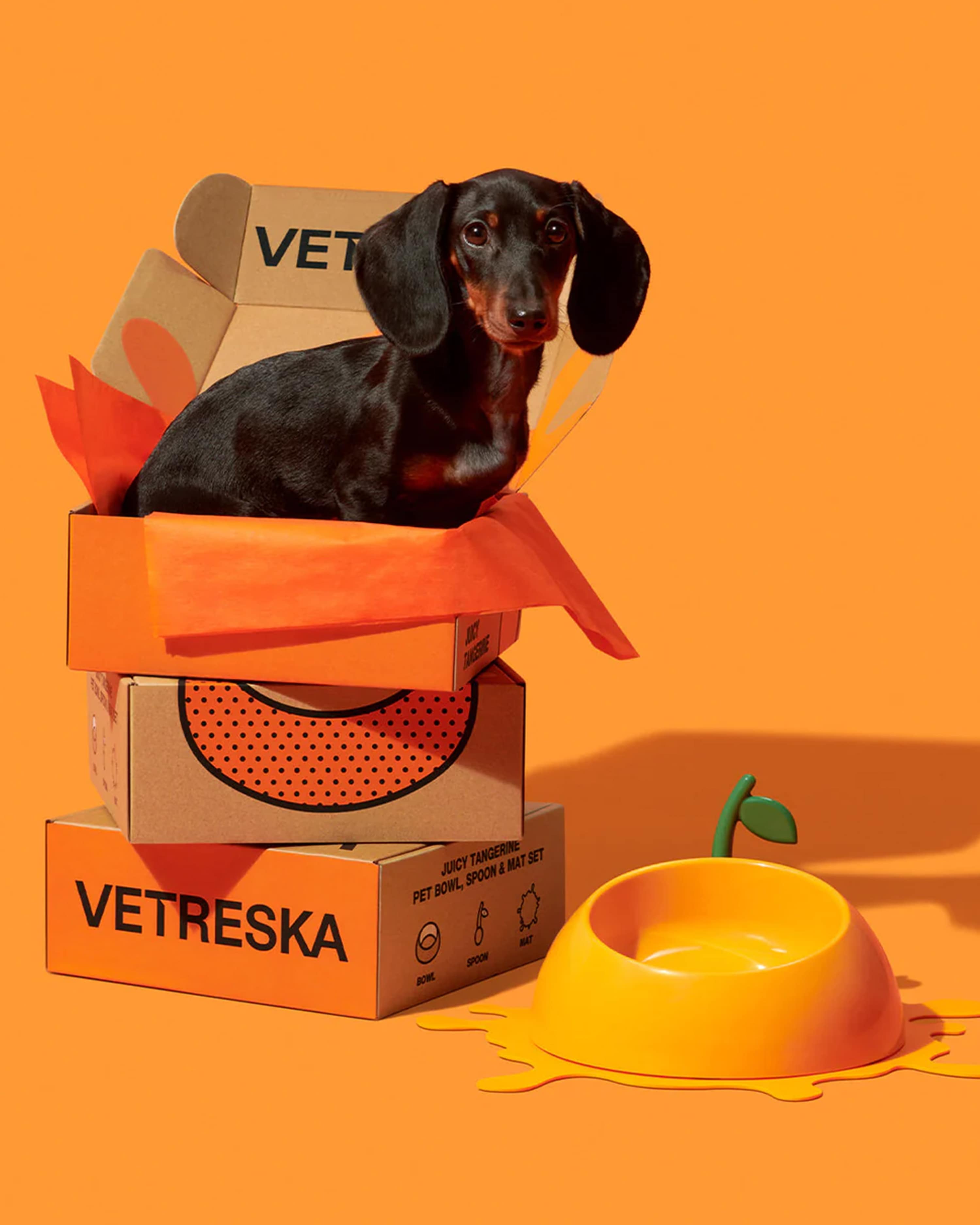 Juicy Tangerine Pet Bowl, Spoon & Mat Set