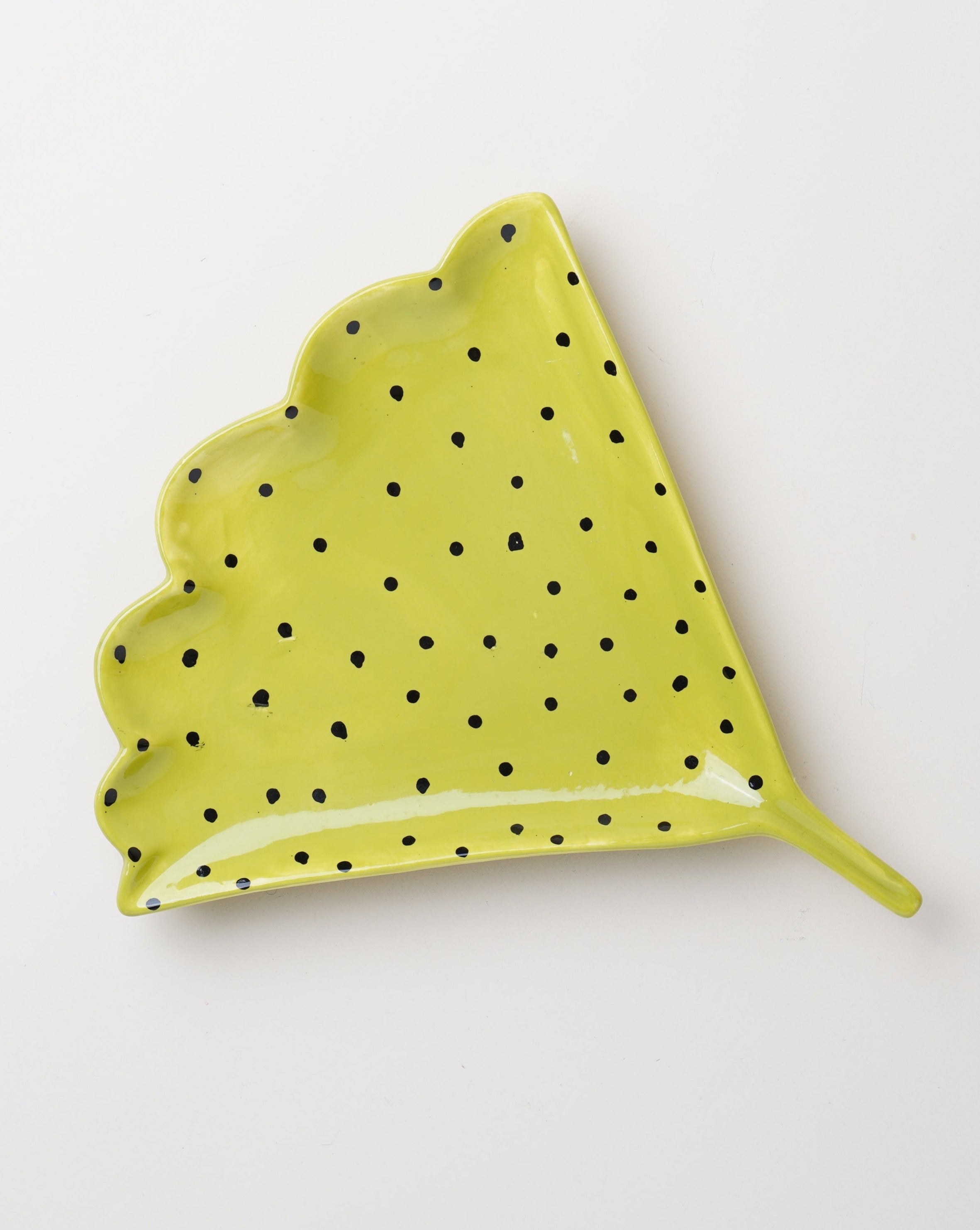 Leaf Plate Dots