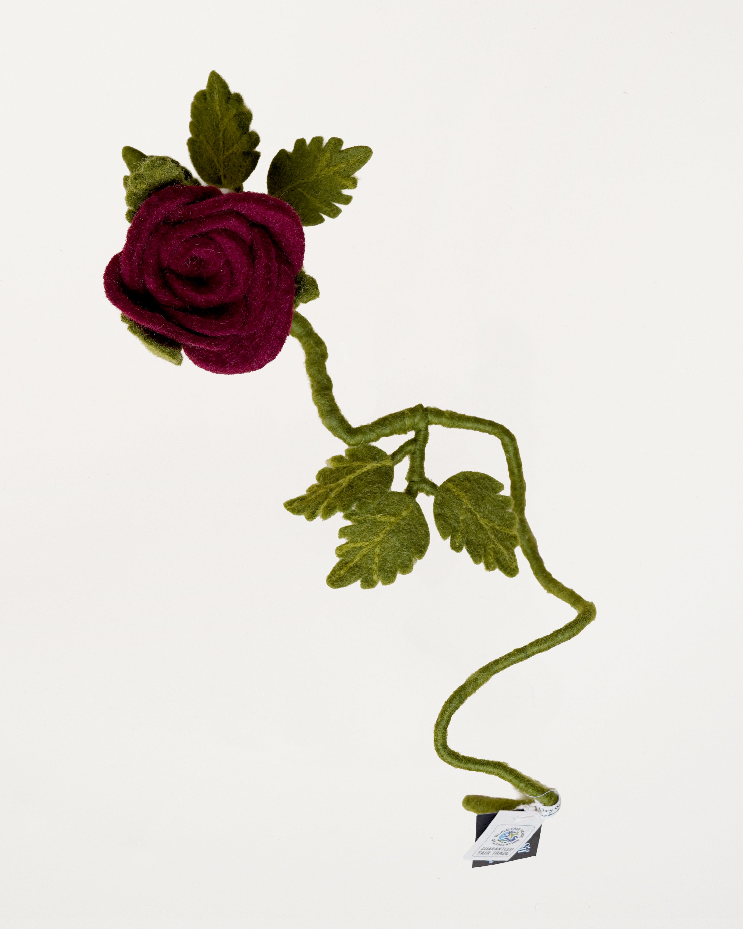 Long Red Rose