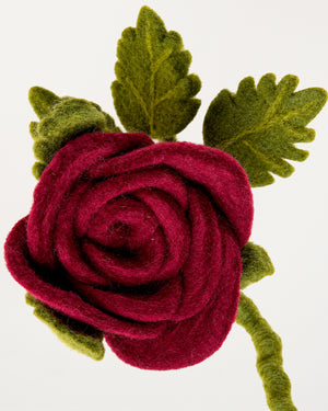 Long Red Rose