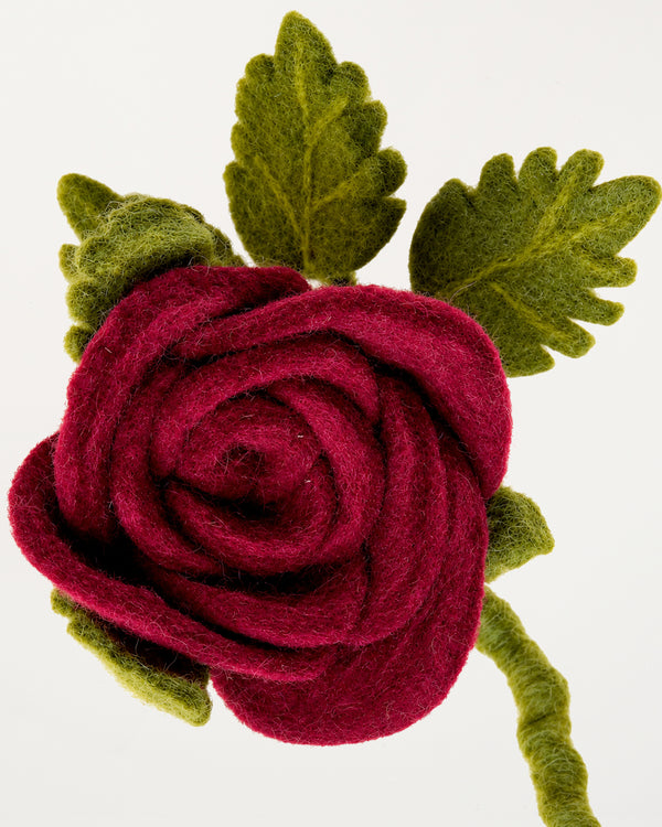 Long Red Rose