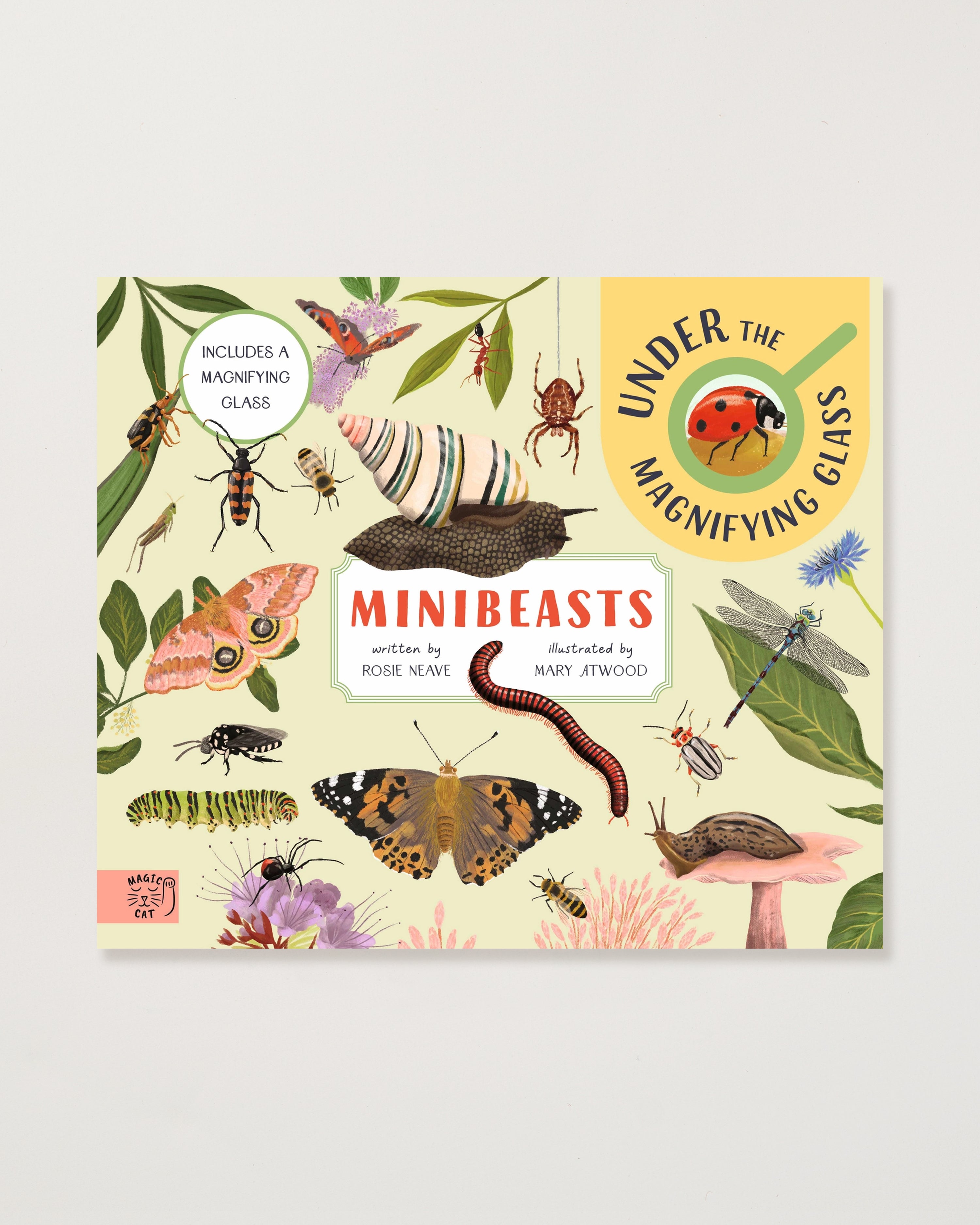 Minibeasts: Under the Magnifying Glass