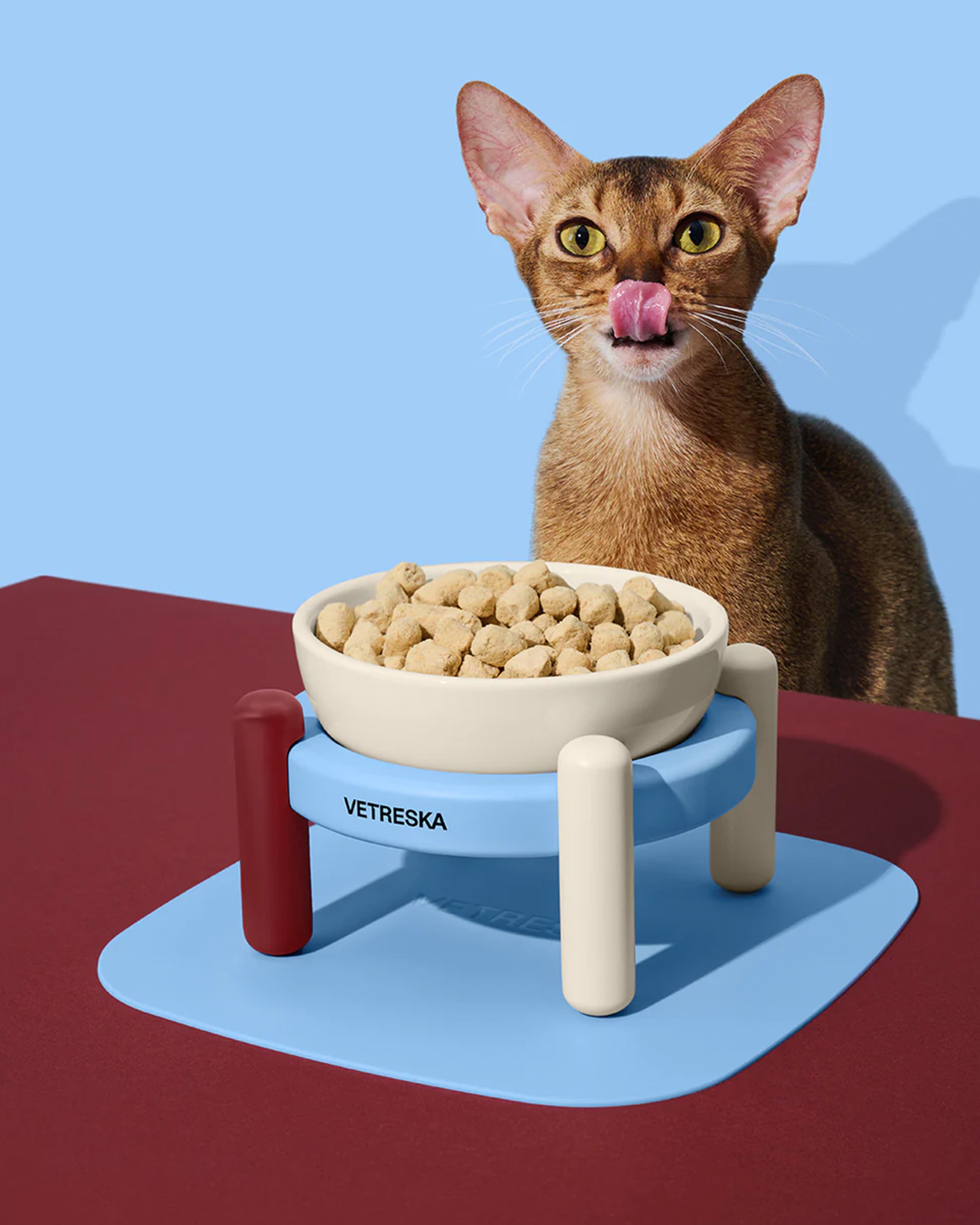 Mist and Merlot Pet Bowl & Mat Set (S)