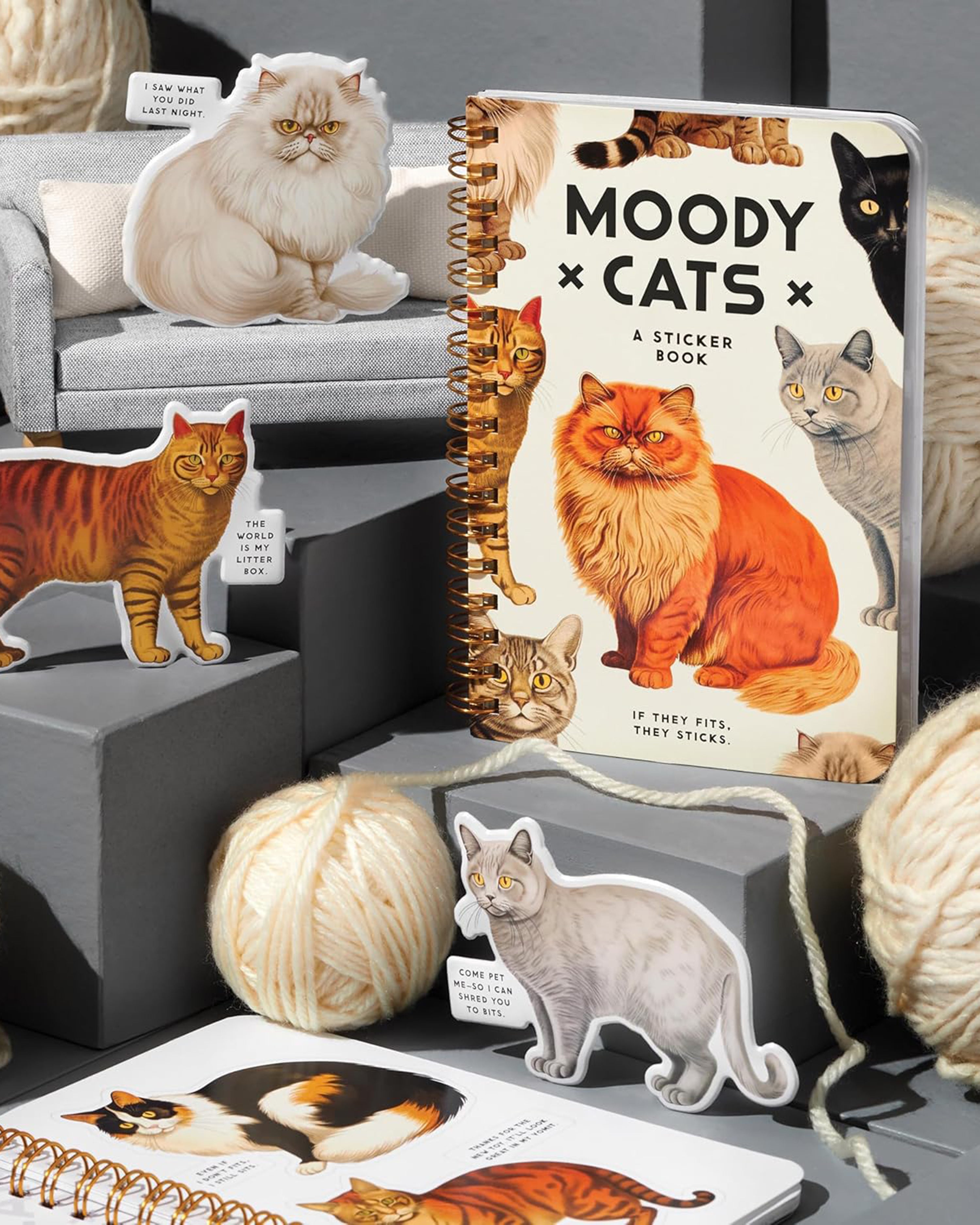 Moody Cats Sticker Book