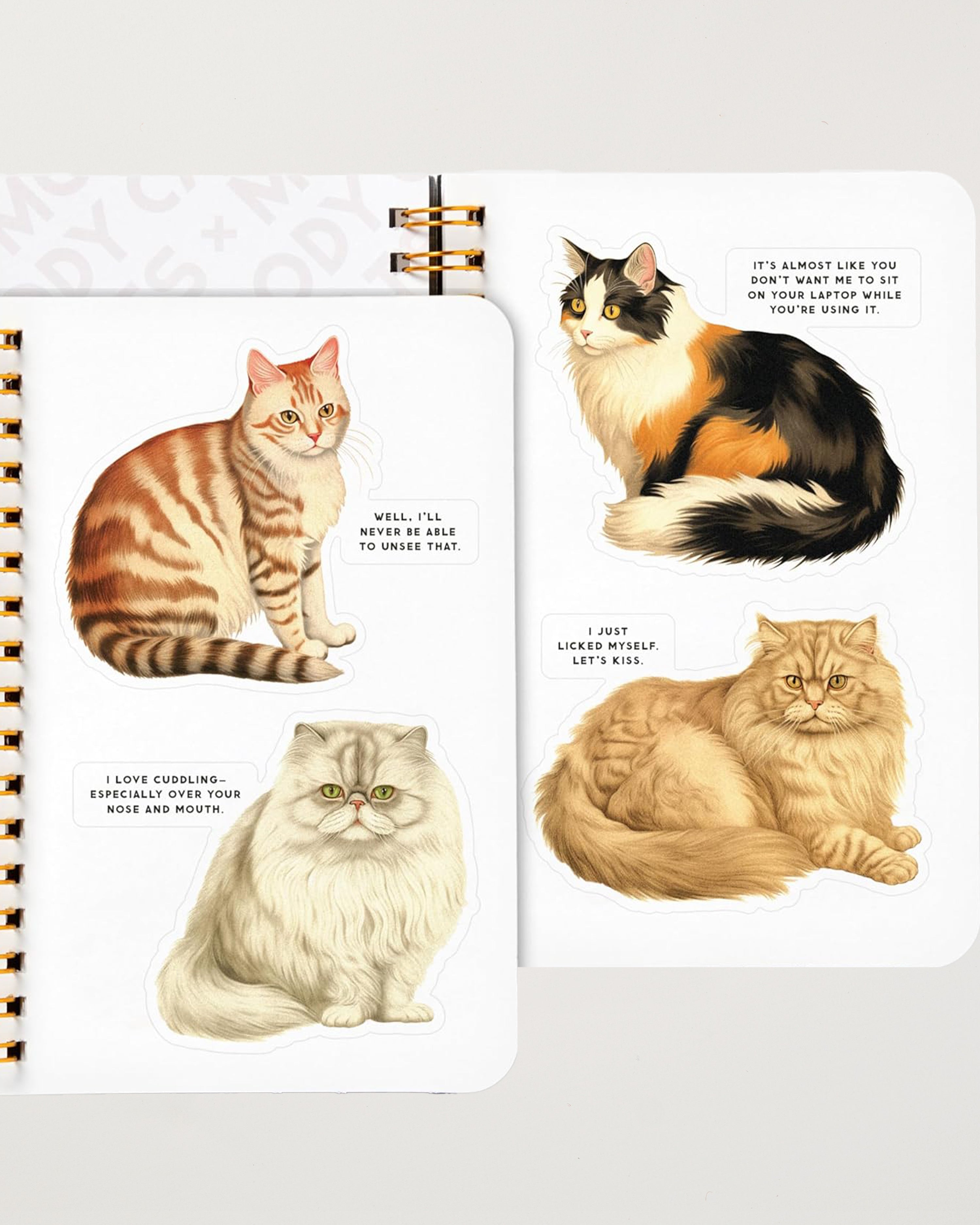 Moody Cats Sticker Book