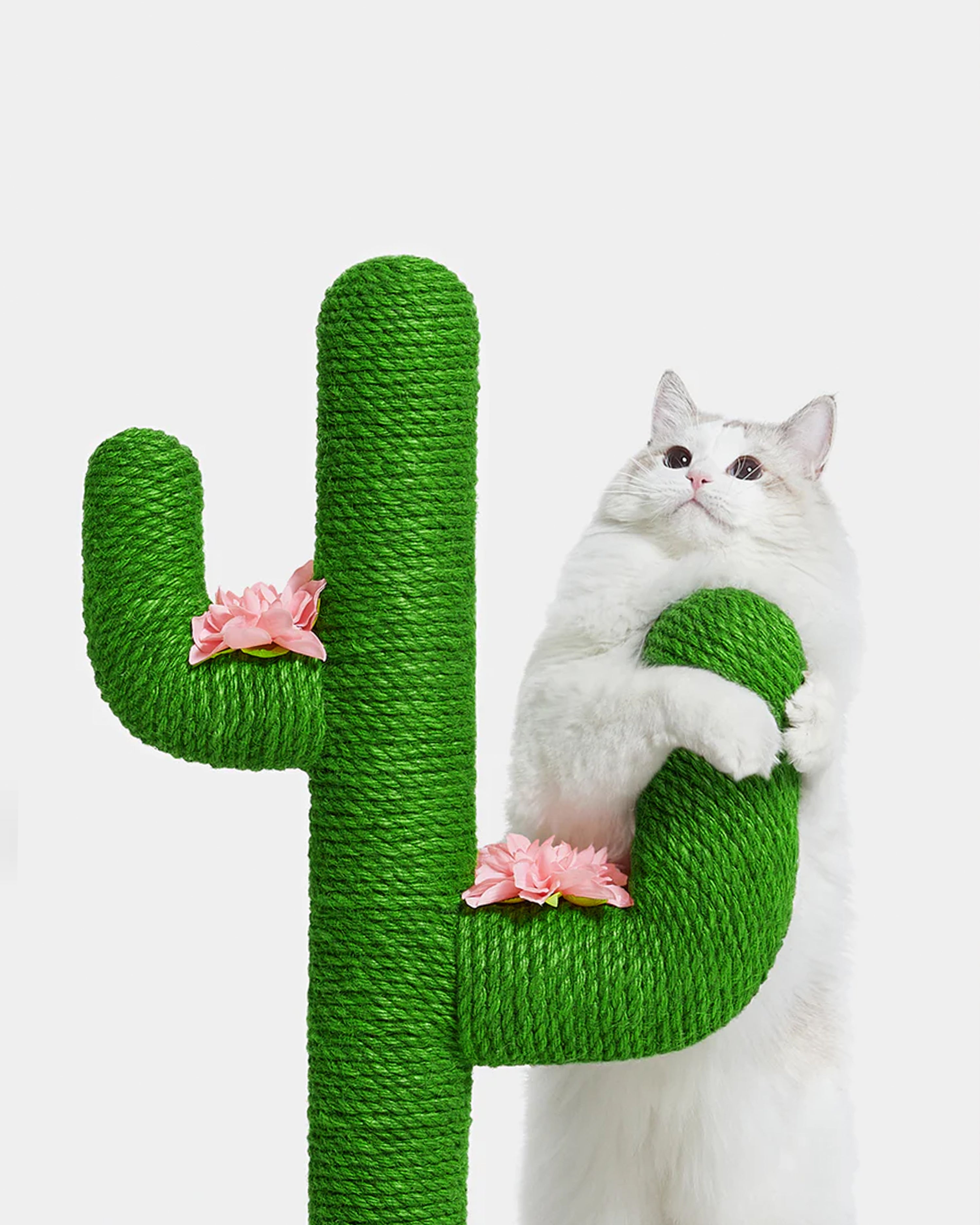 Oasis Cactus Cat Tree 31"