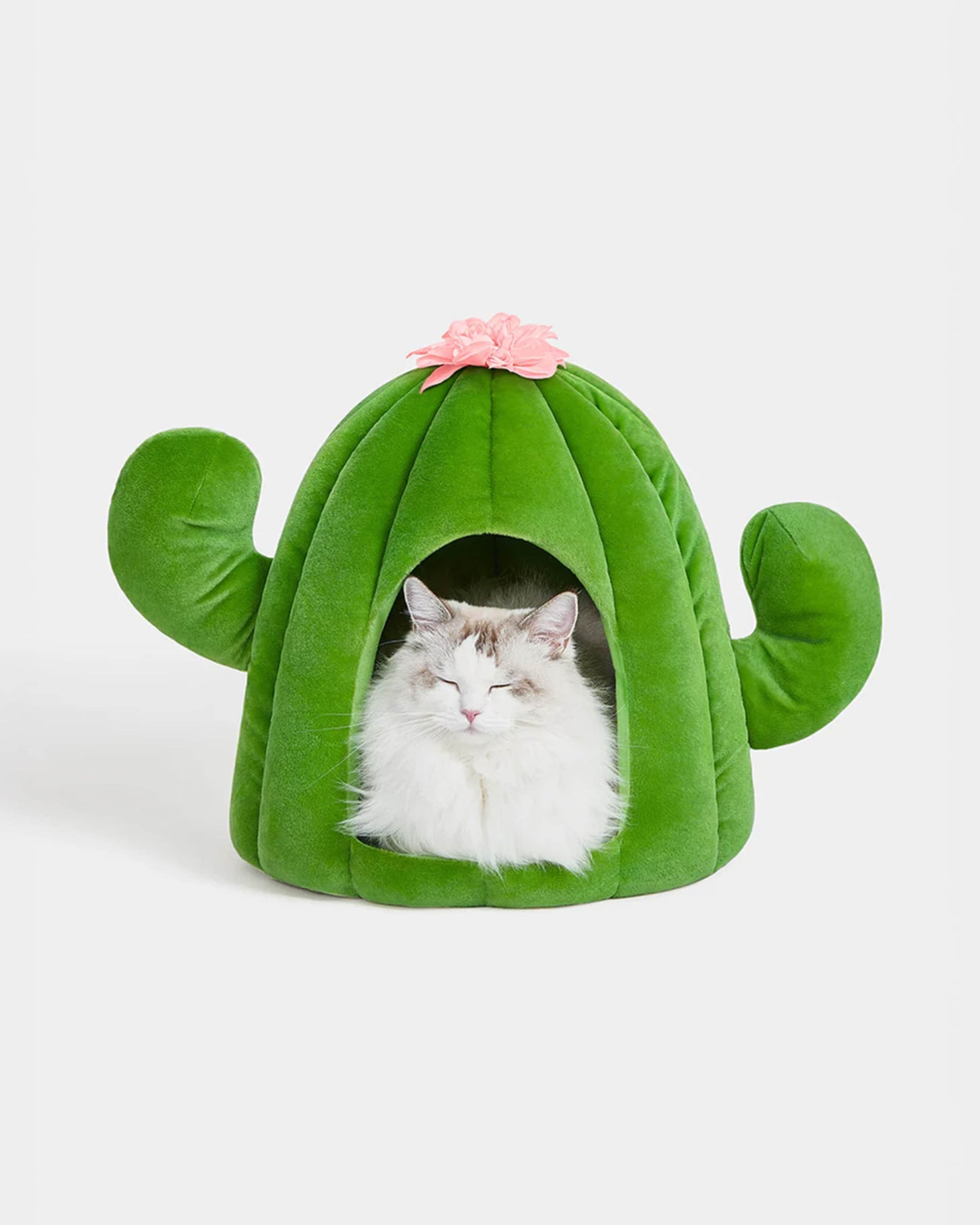 Green cactus-shaped pet bed with a cat peeking out on a white background