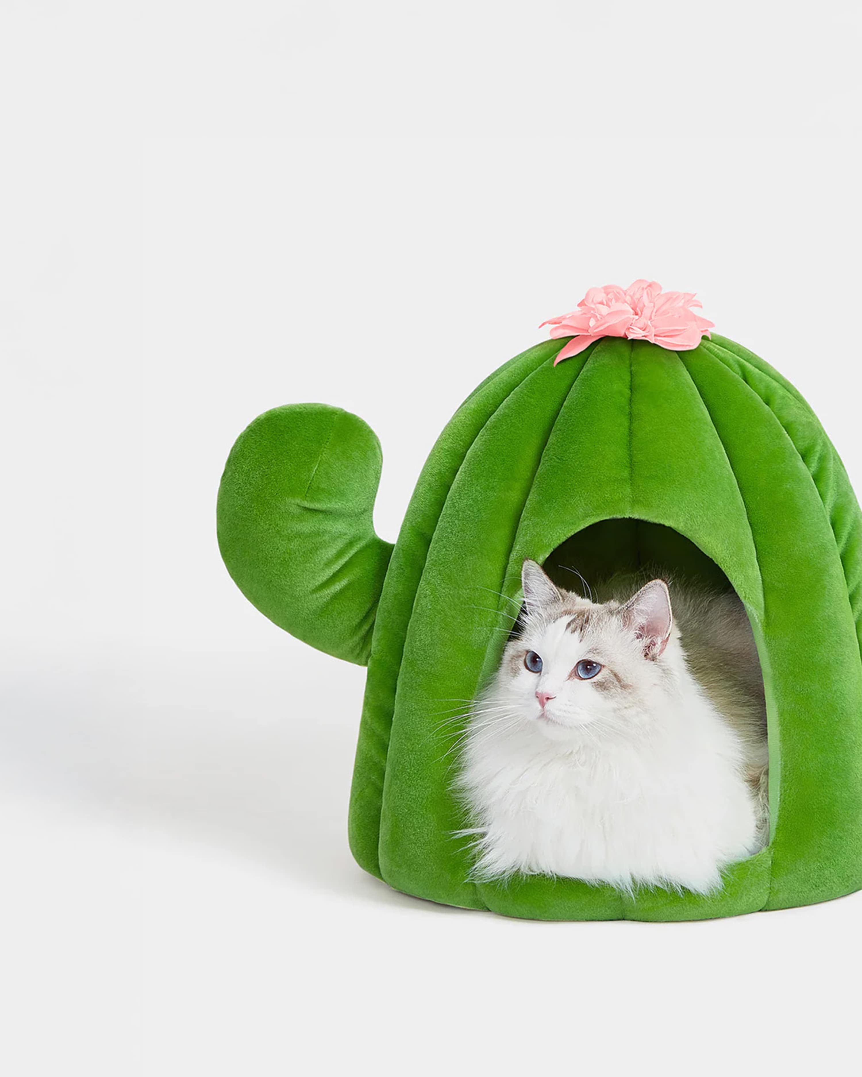 Cat inside a green cactus-shaped pet bed with a pink flower on a white background