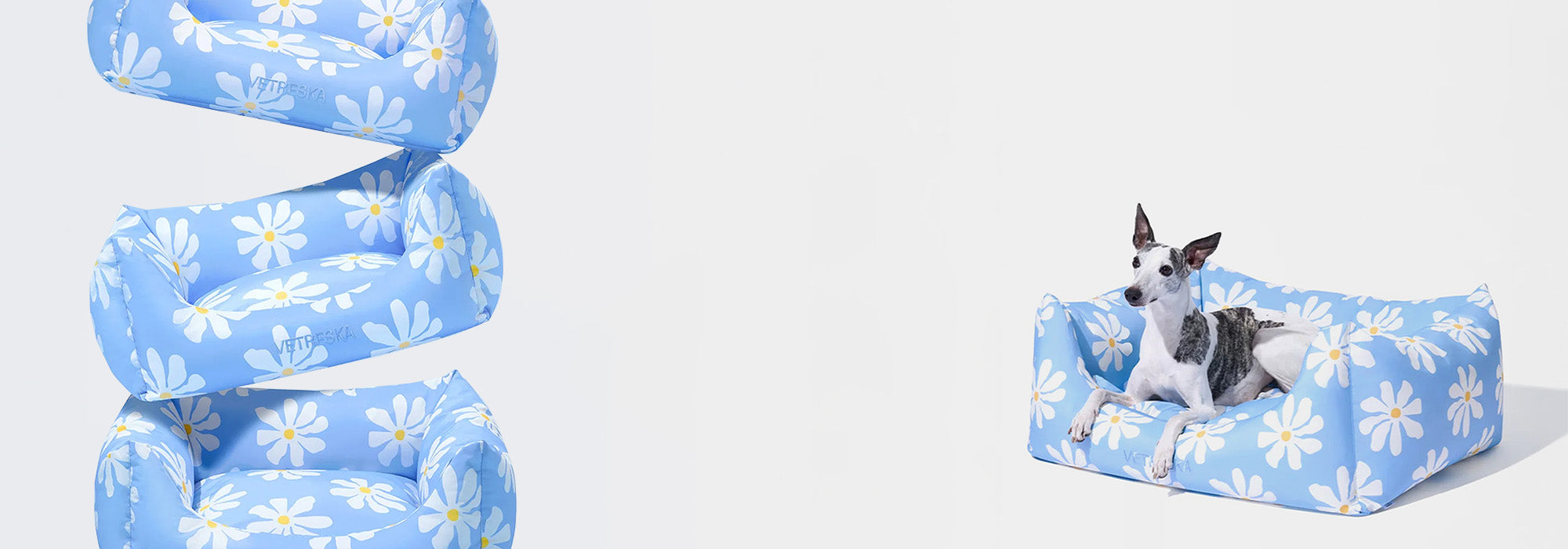 Dog lying on a blue floral pet bed with a matching inflatable pool toy next to it.