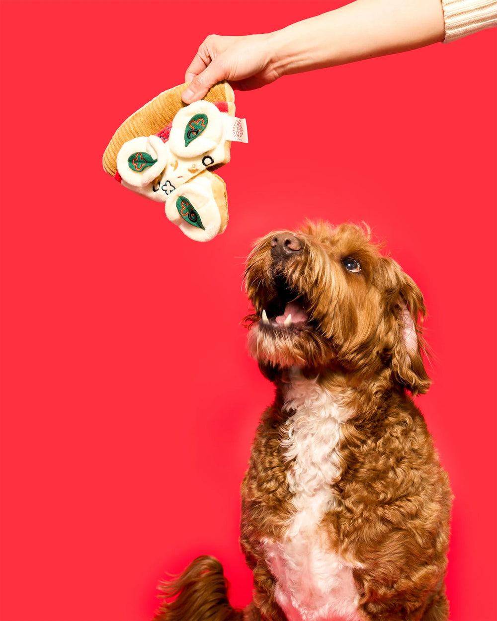 Pizza Nosework Toy