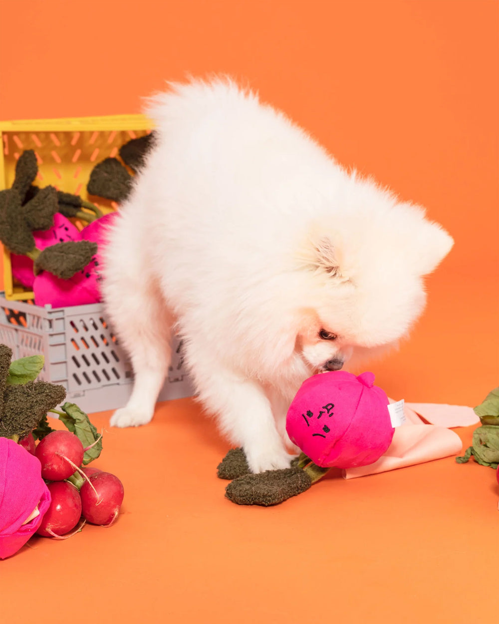 Radish Nosework Toy