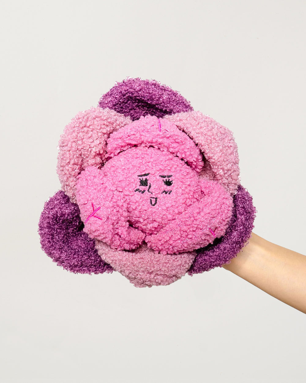 Red Cabbage Nosework Toy