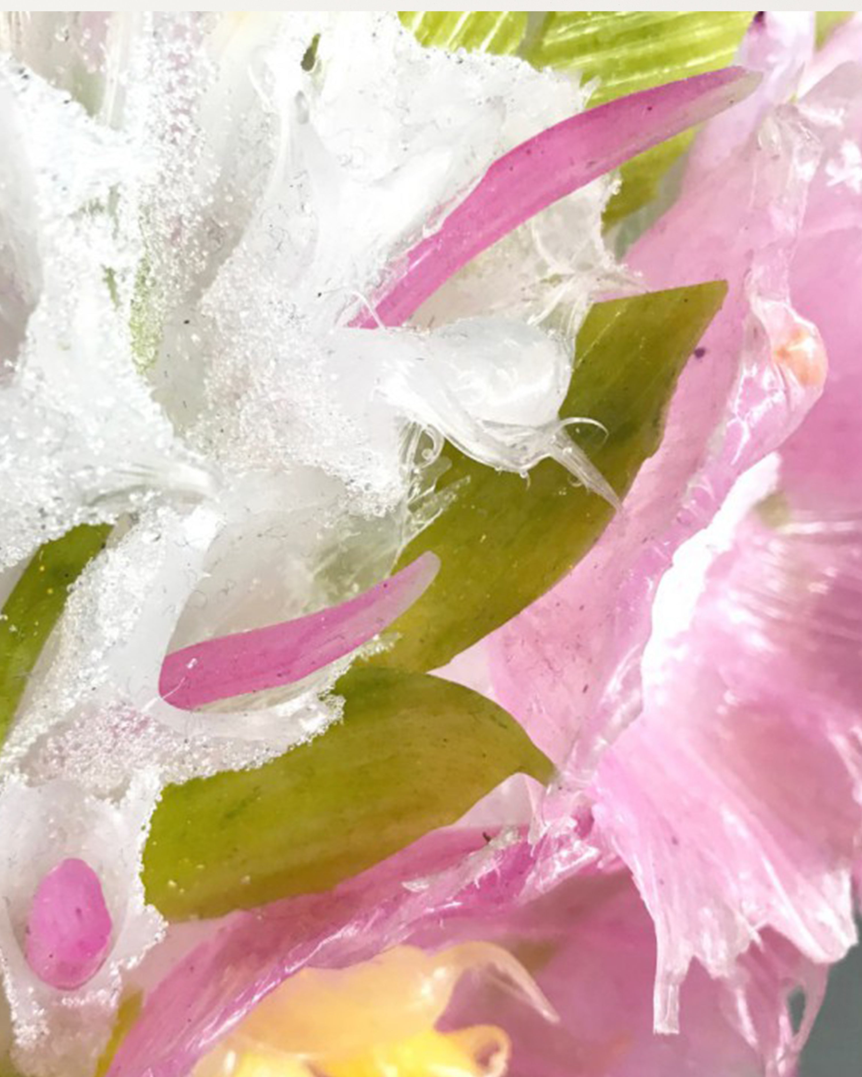 Silicone Vase Merrymaking