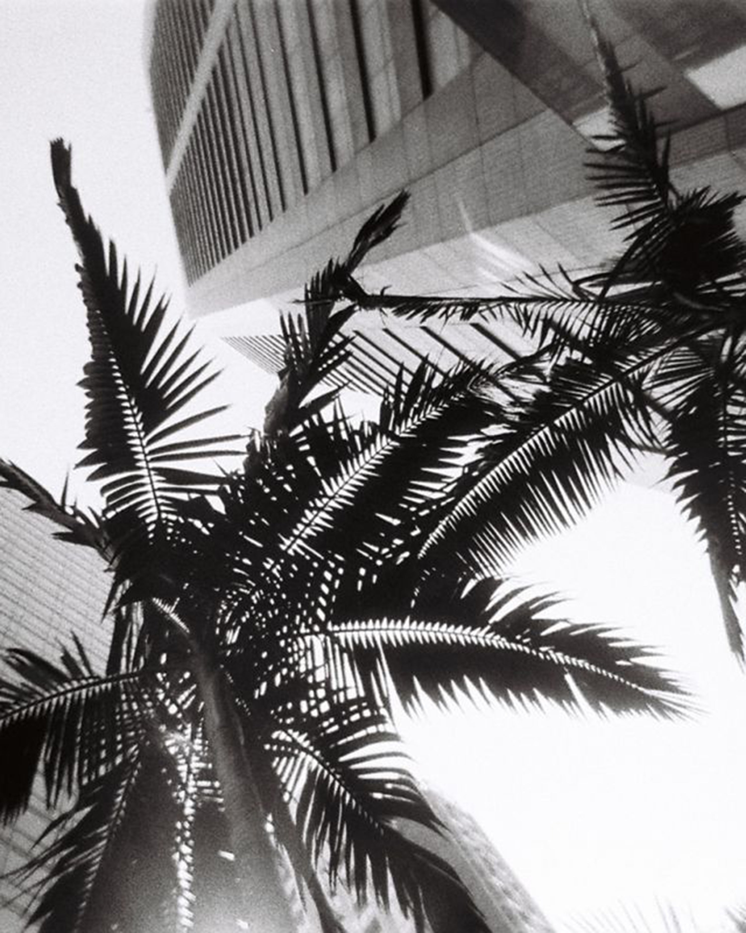 Simple Use Reloadable Film Camera Black & White