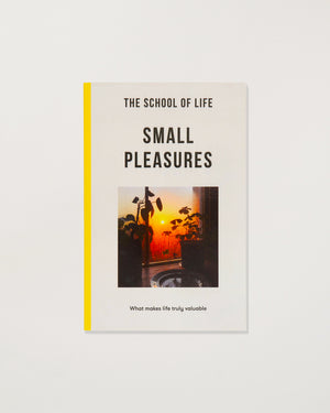 Book titled 'Small Pleasures' by The School of Life with a sunset image on the cover.