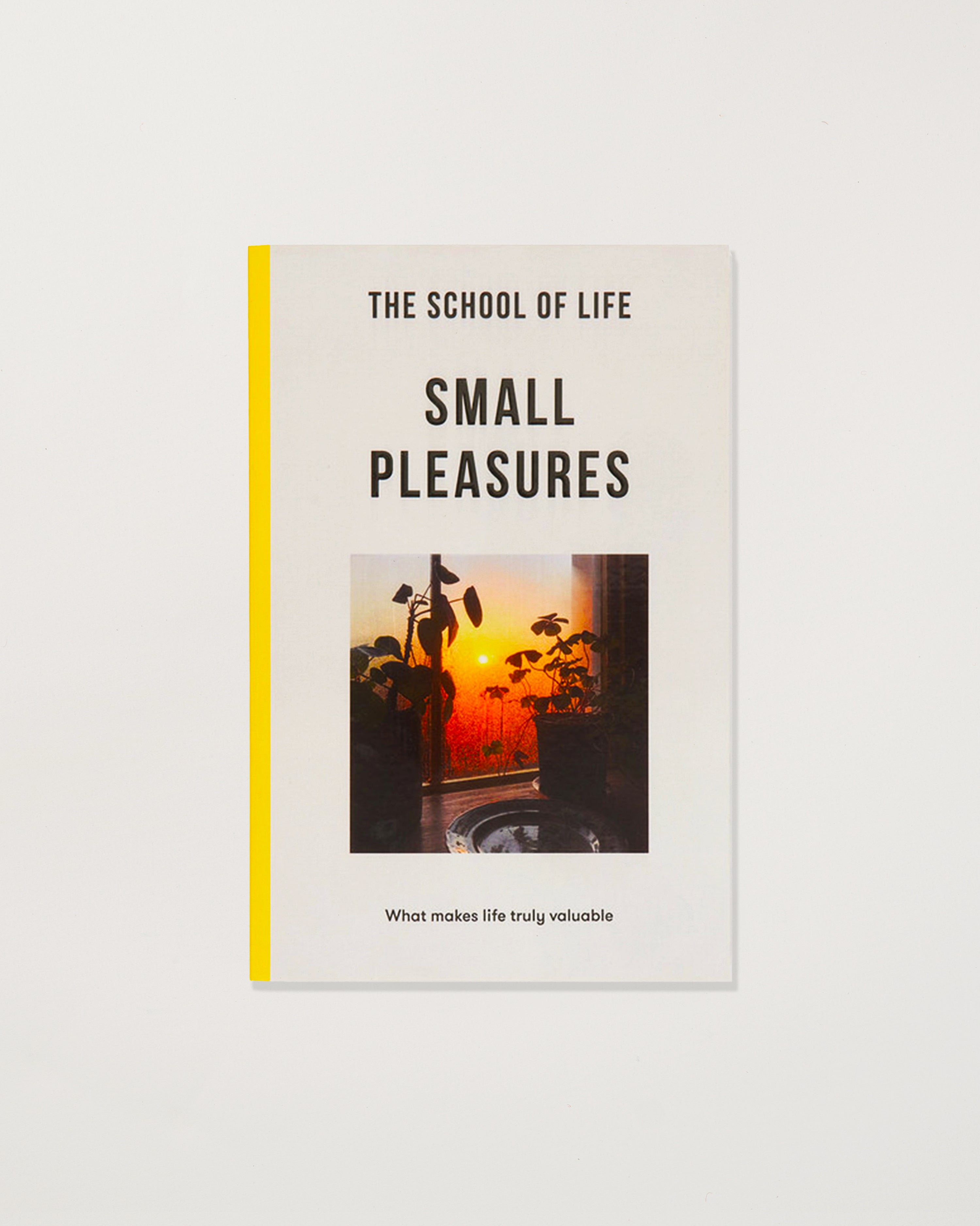 Book titled 'Small Pleasures' by The School of Life with a sunset image on the cover.