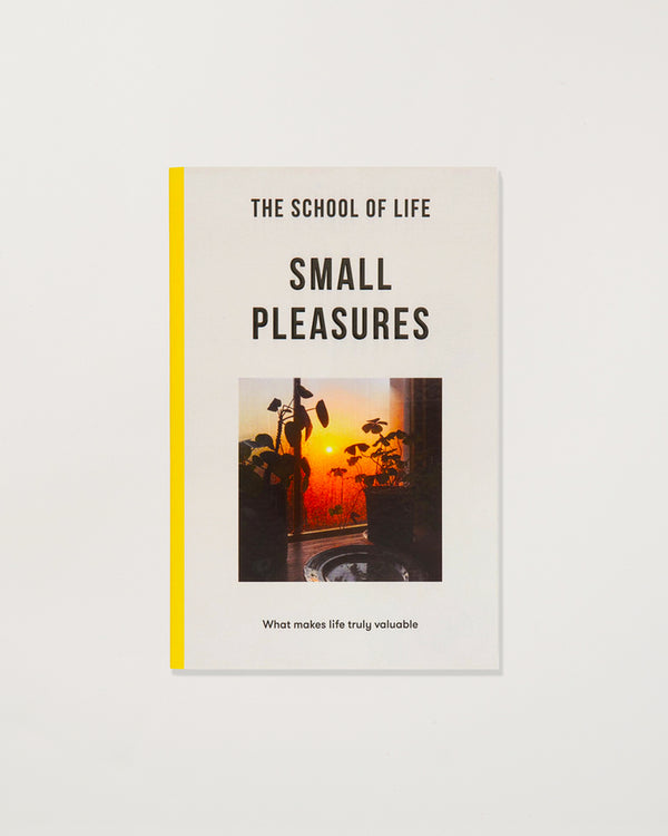 Book titled 'Small Pleasures' by The School of Life with a sunset image on the cover.