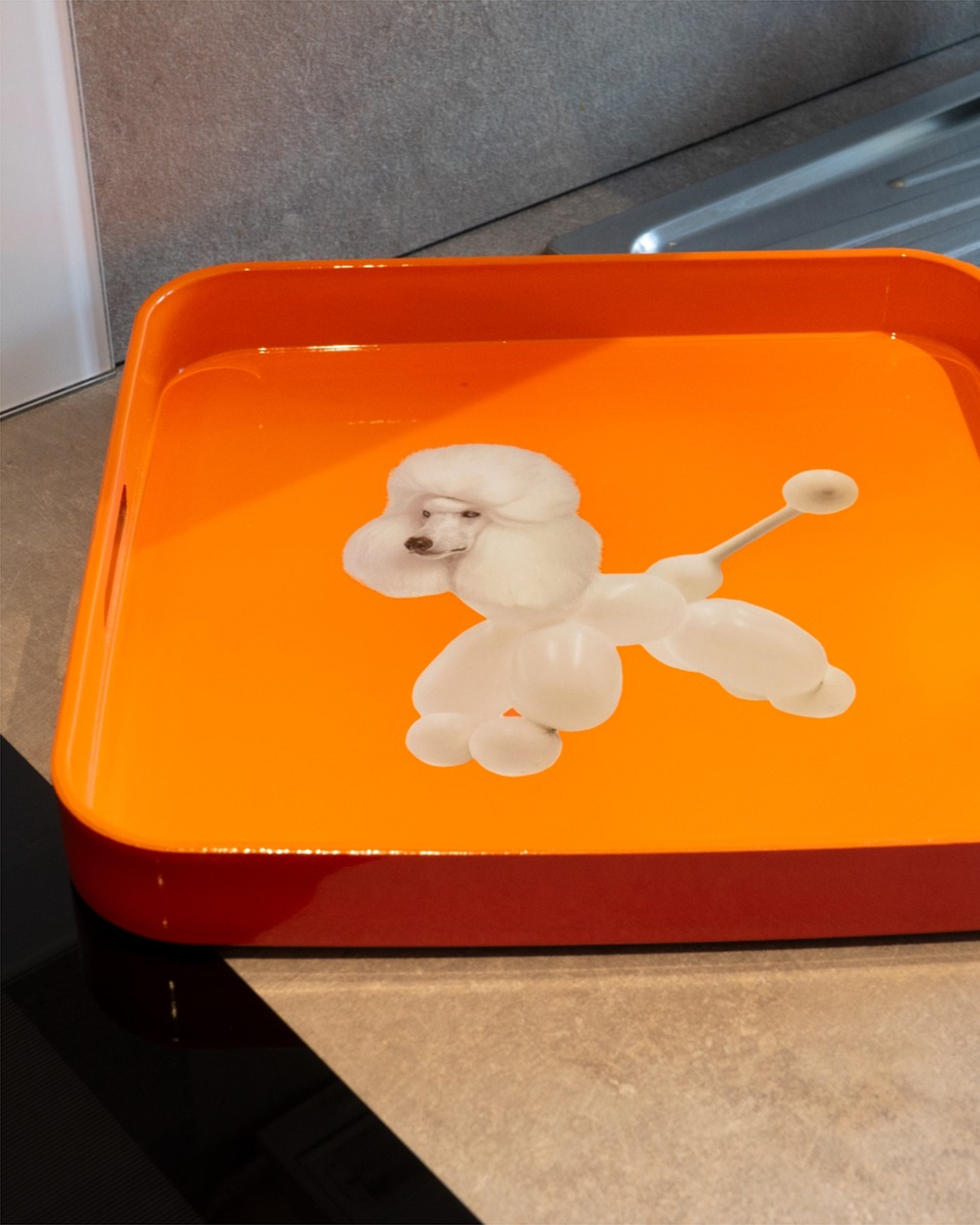 Square Tray Dog