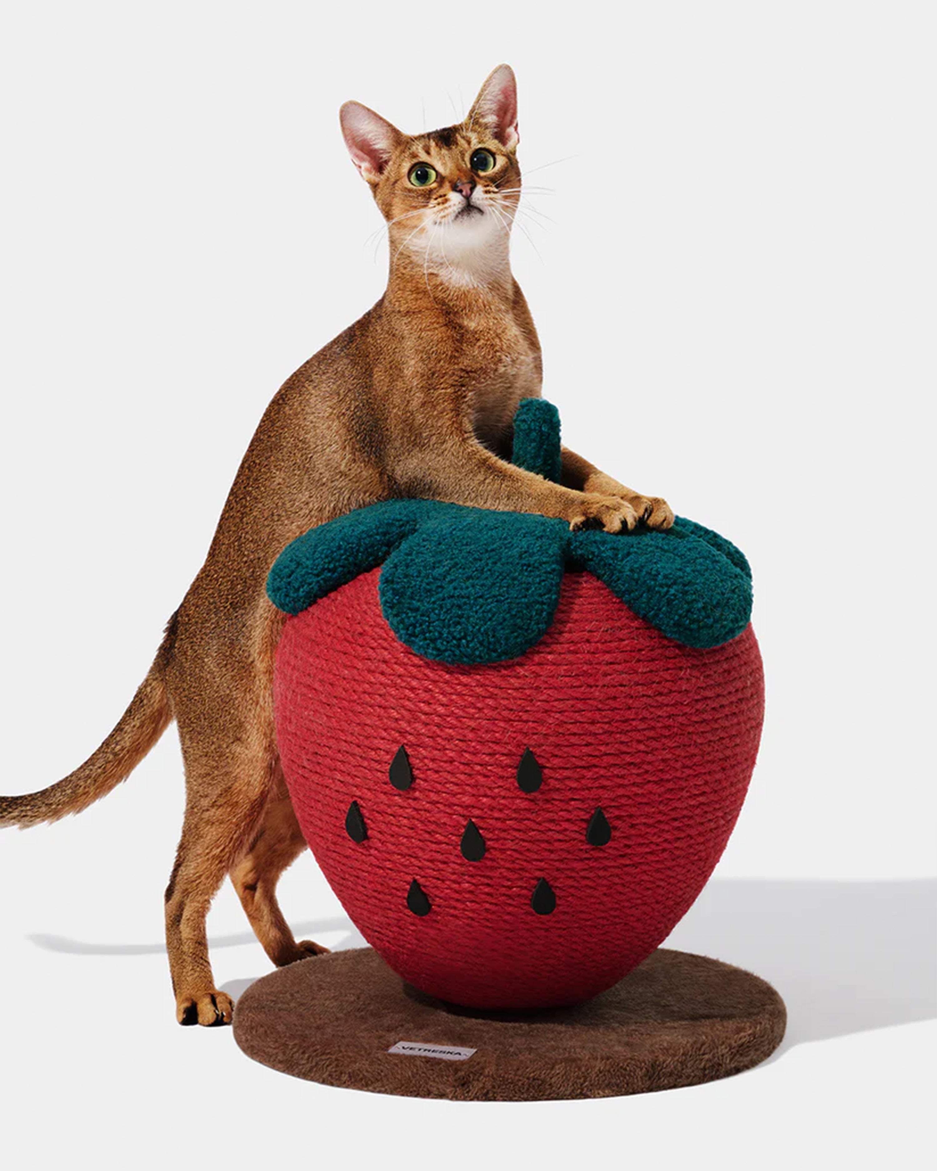 Strawberry Cat Scratching Ball