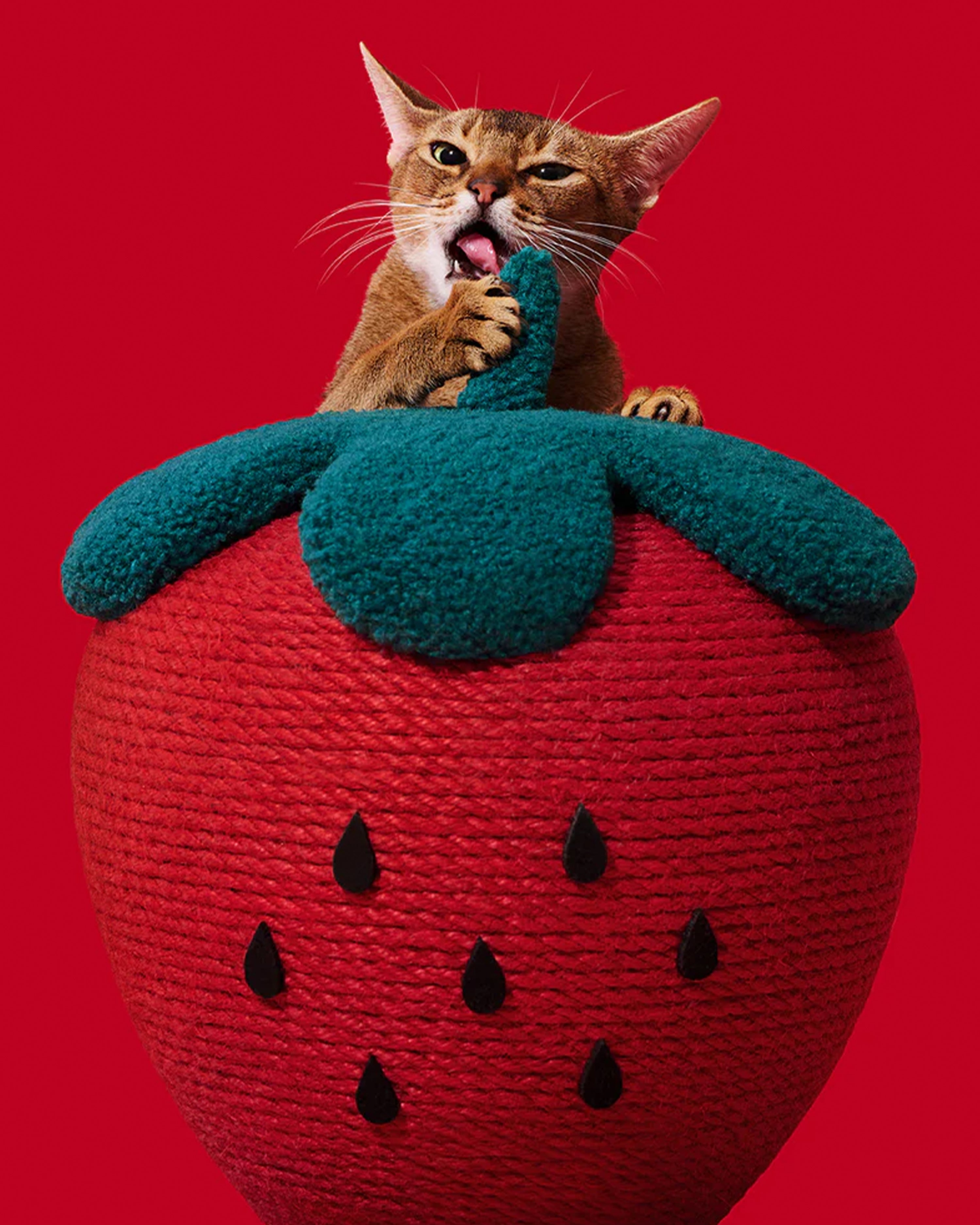 Strawberry Cat Scratching Ball