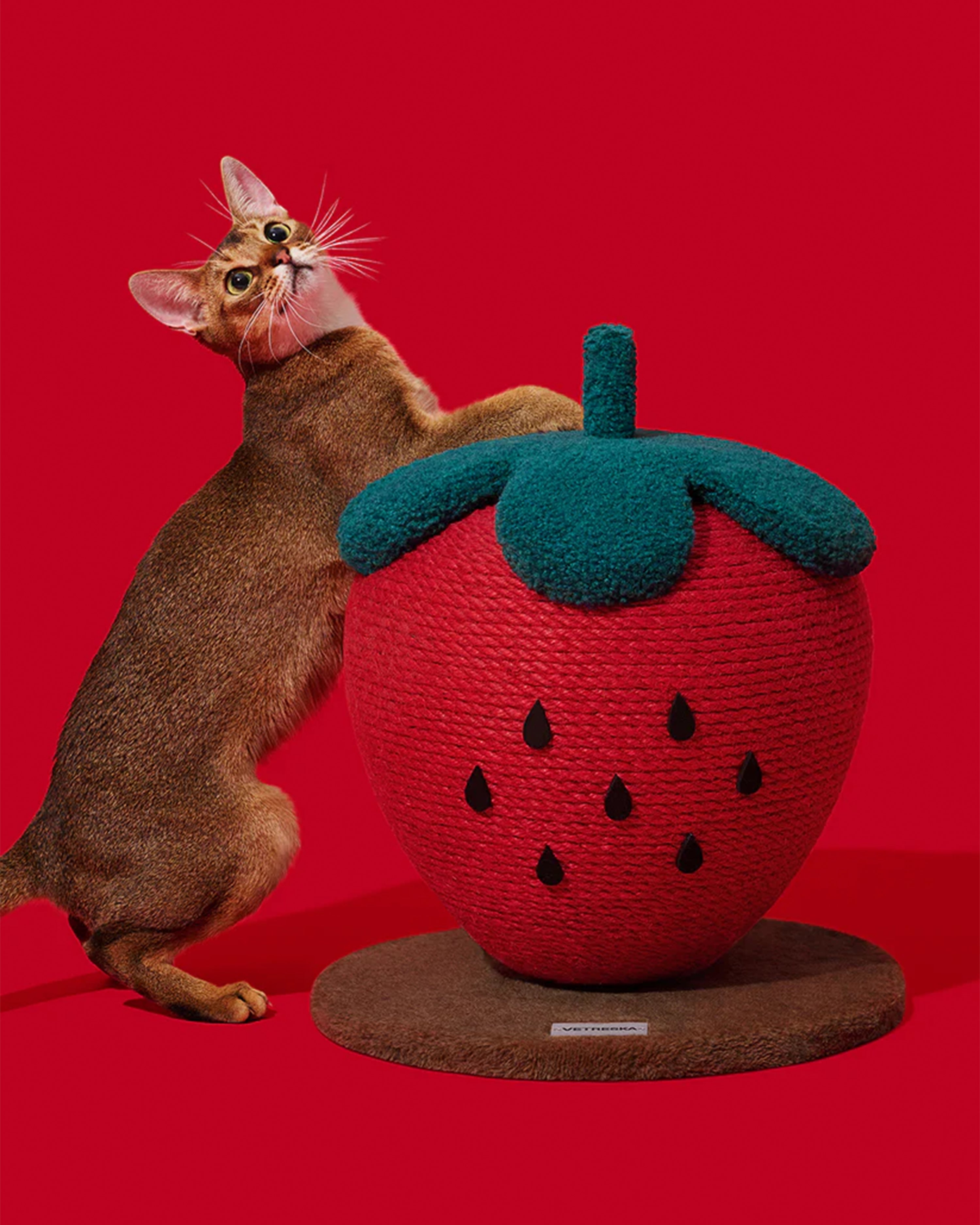 Strawberry Cat Scratching Ball
