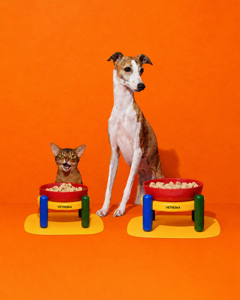 Shop The Pet Parent Edit