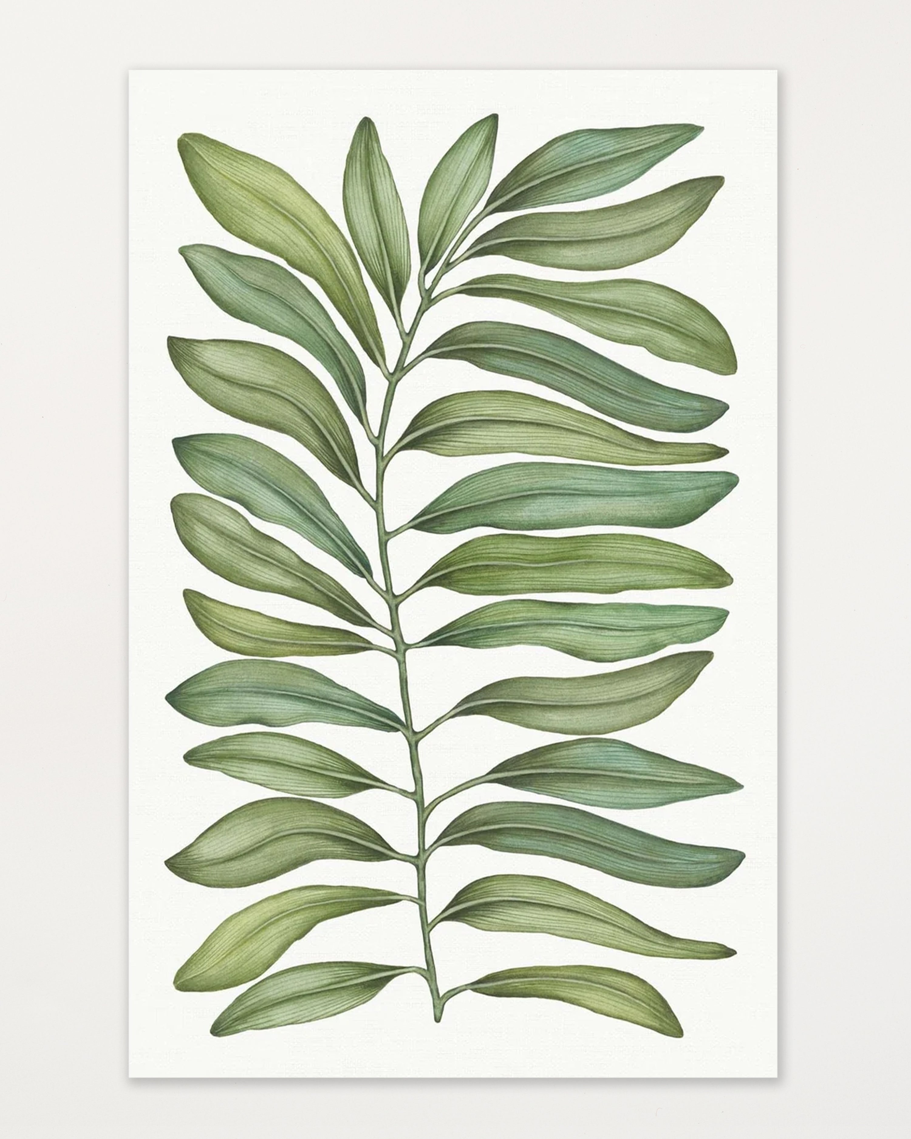 Tamarindo Tablecloth