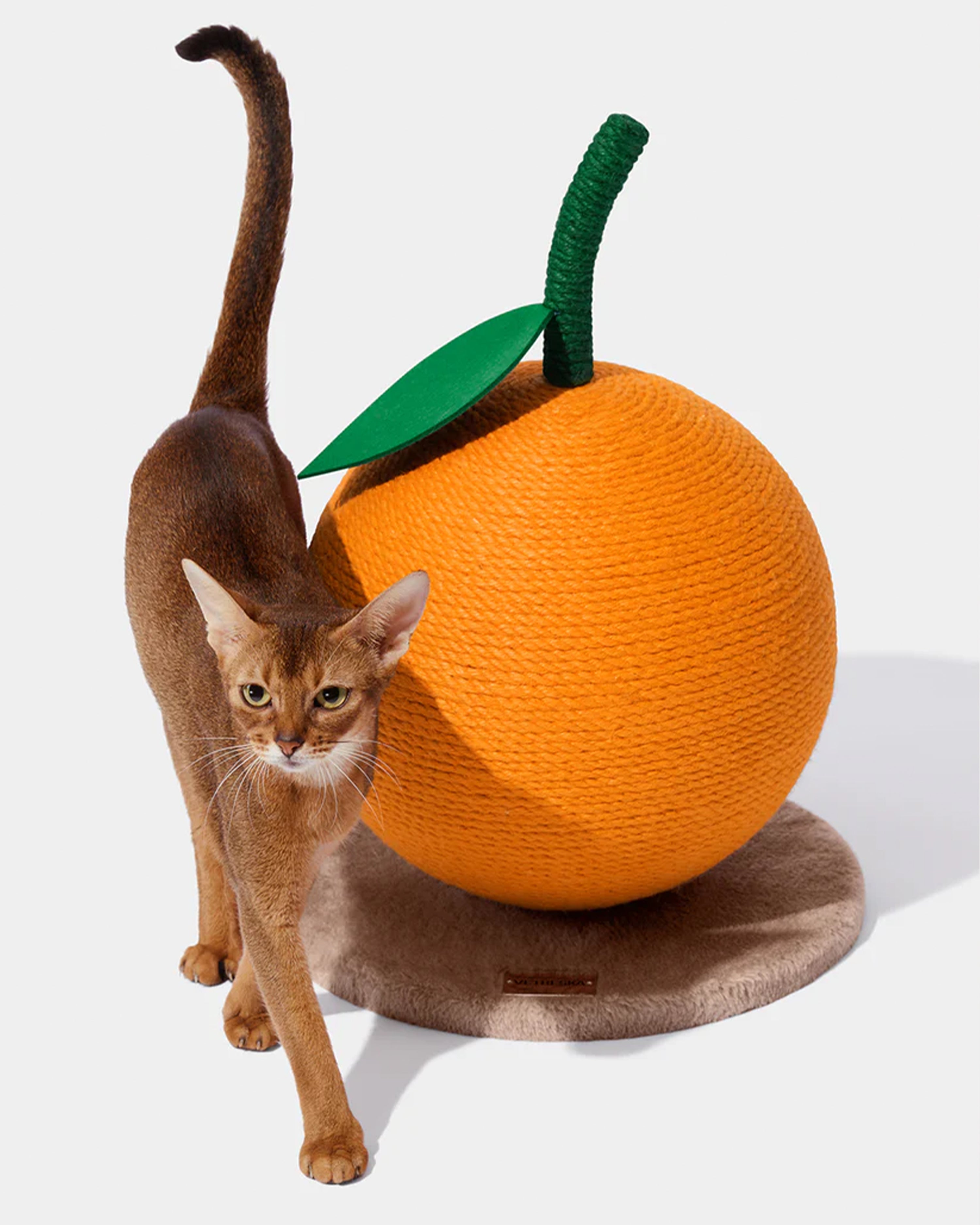 Tangerine Cat Scratching Ball