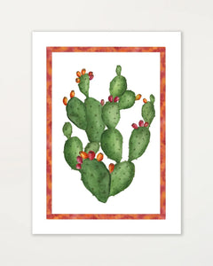 Tunera Red Kitchen Towel 50x70cm