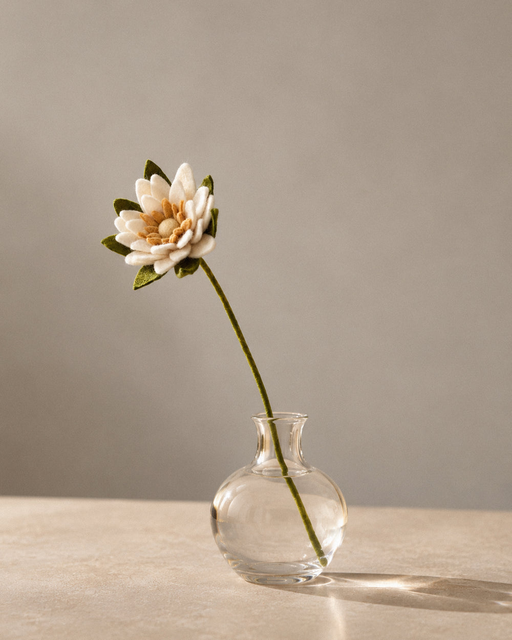 Waterlily White