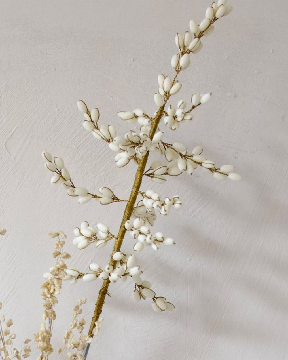 White Ilex Flower