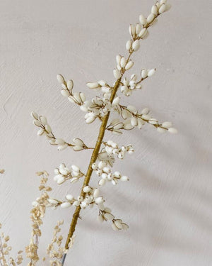 White Ilex Flower