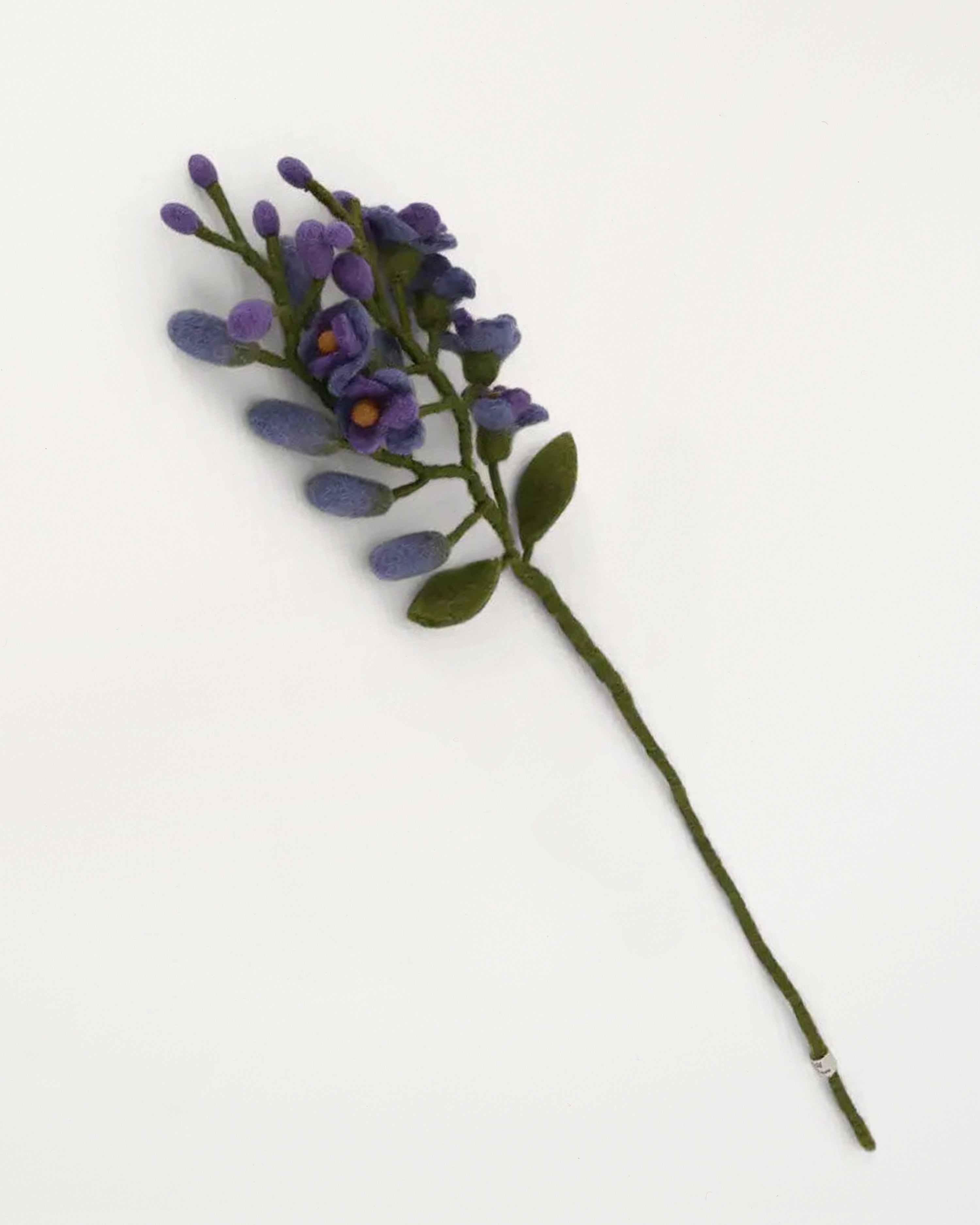 Wisteria Purple