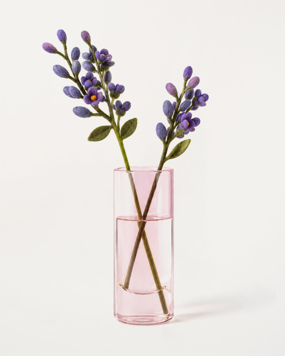 Wisteria Purple