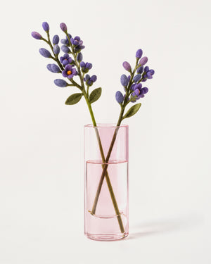 Wisteria Purple