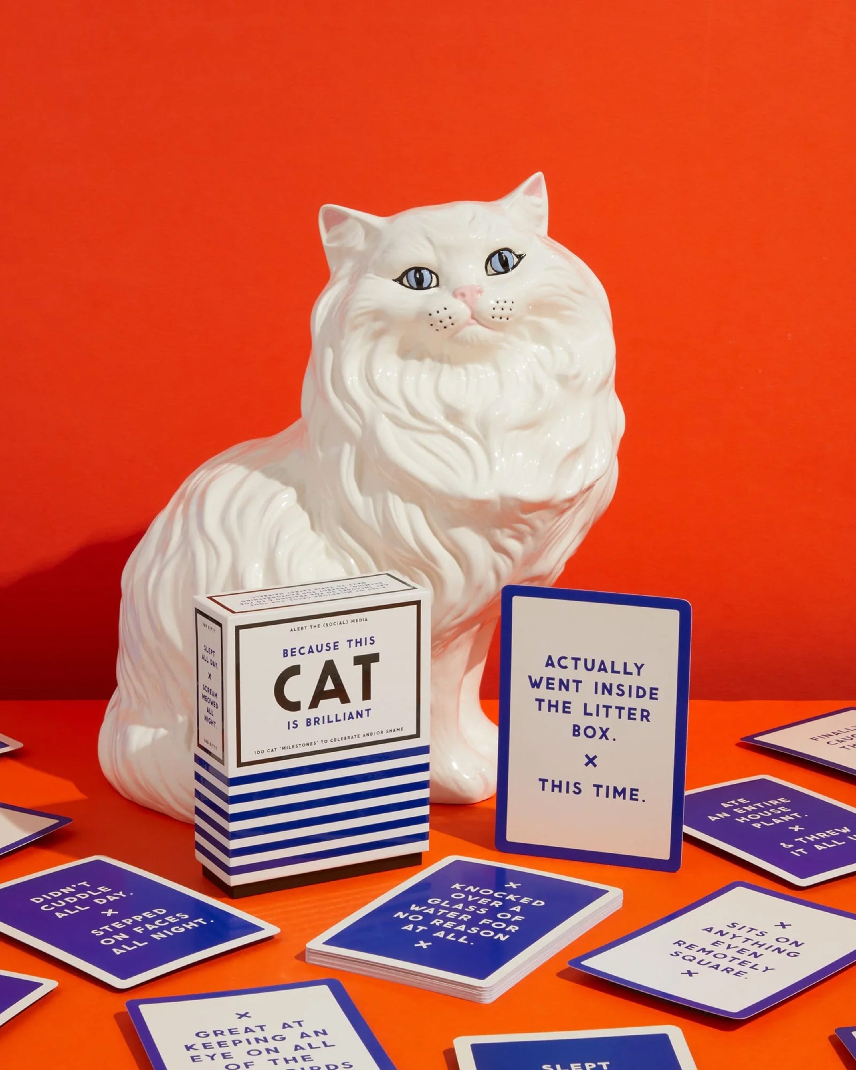 Because This Cat Is Embarrassing - Pet Shame/Praise Deck