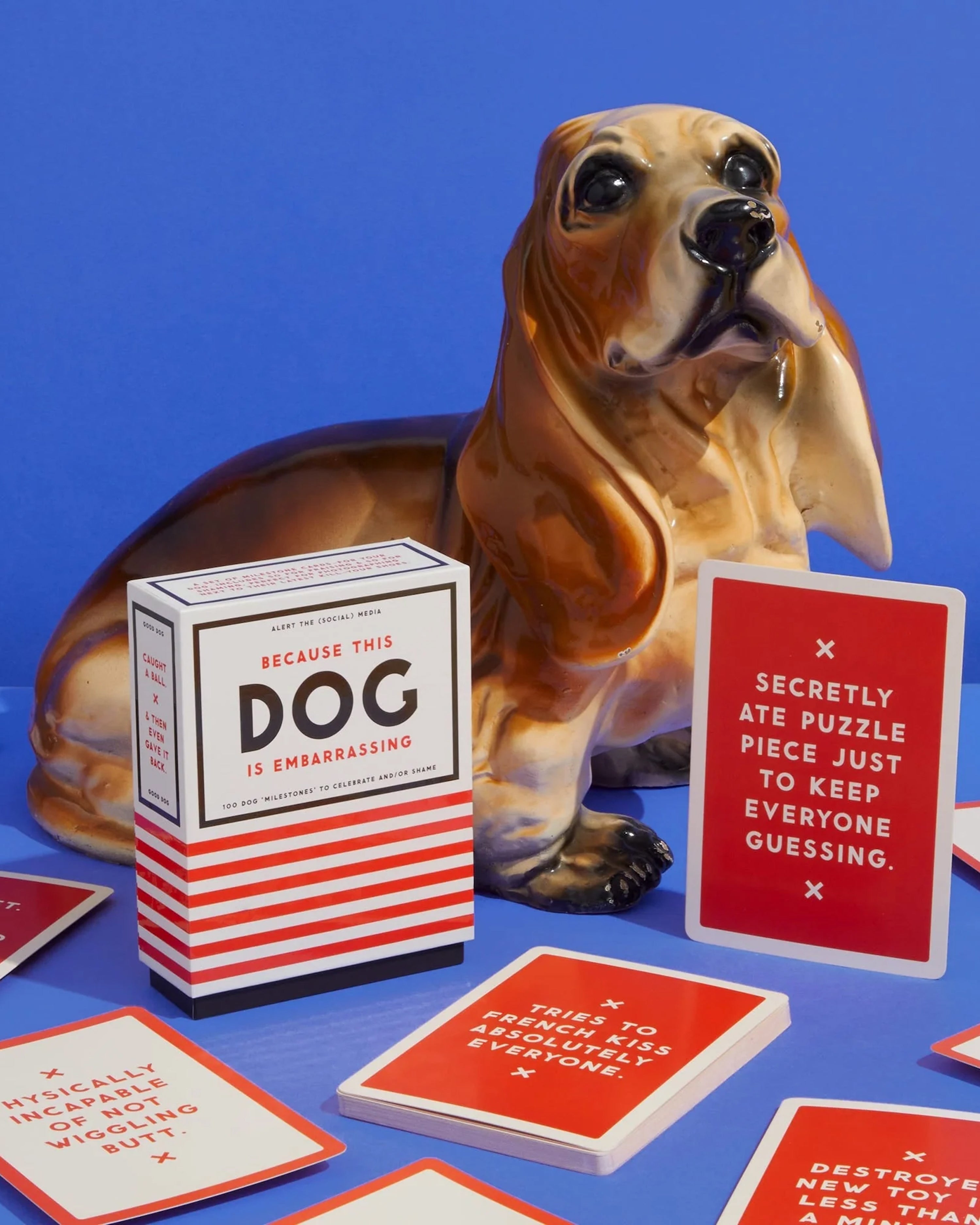 Because This Dog Is Embarrassing - Pet Shame/Praise Deck