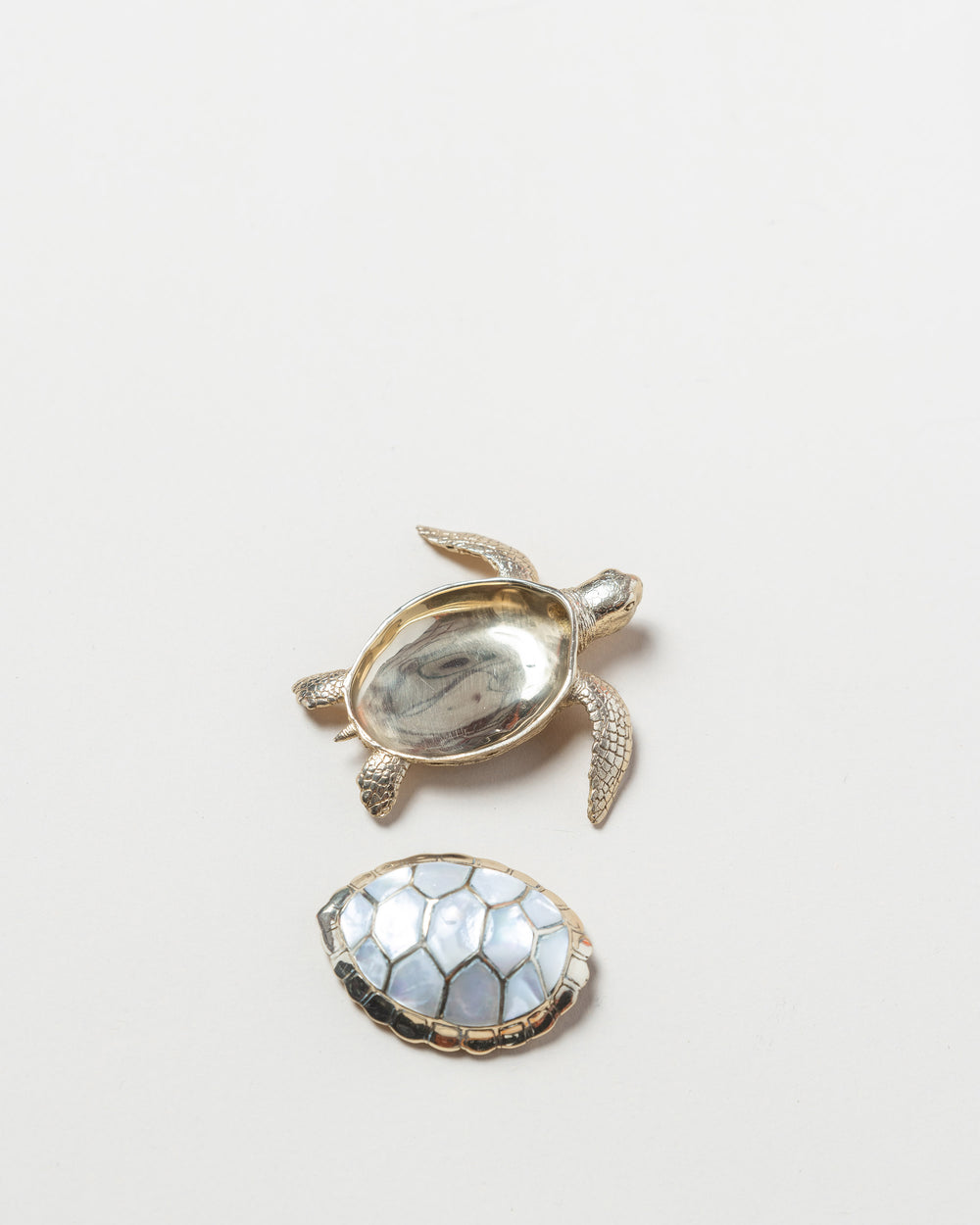 Small Turtle Box/White Pearl